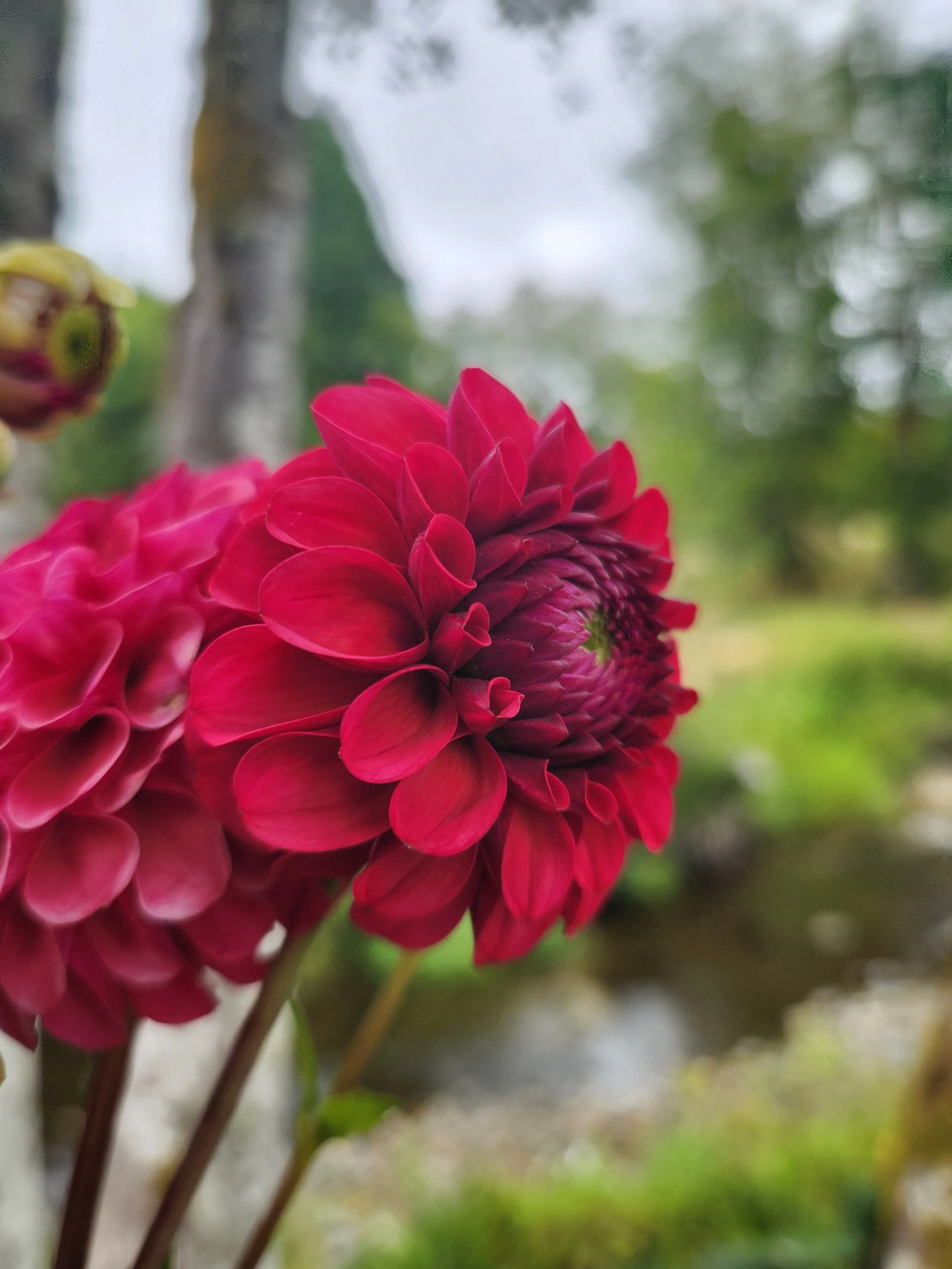 20260817_031622[1].jpg