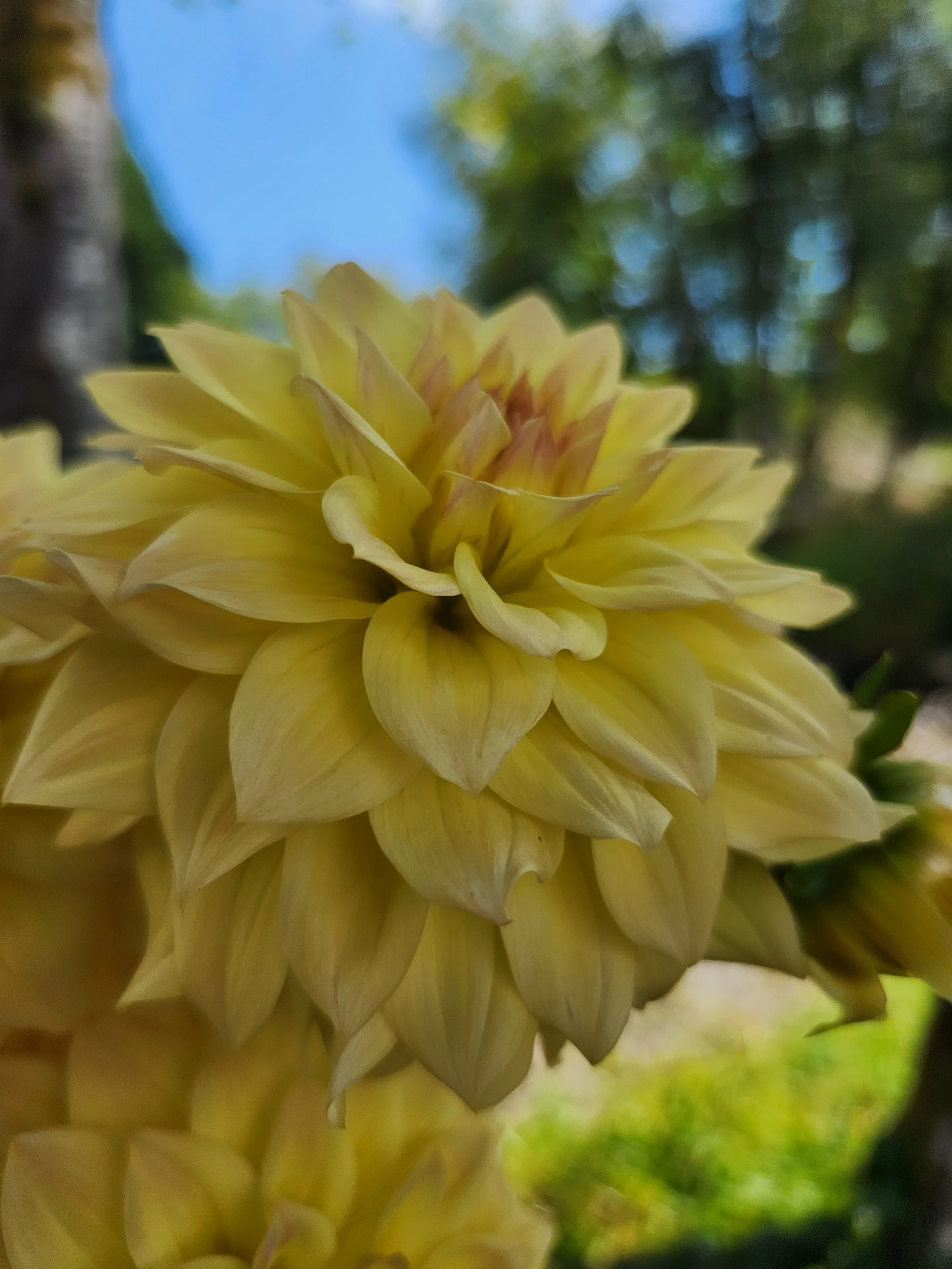20260810_052624[1].jpg