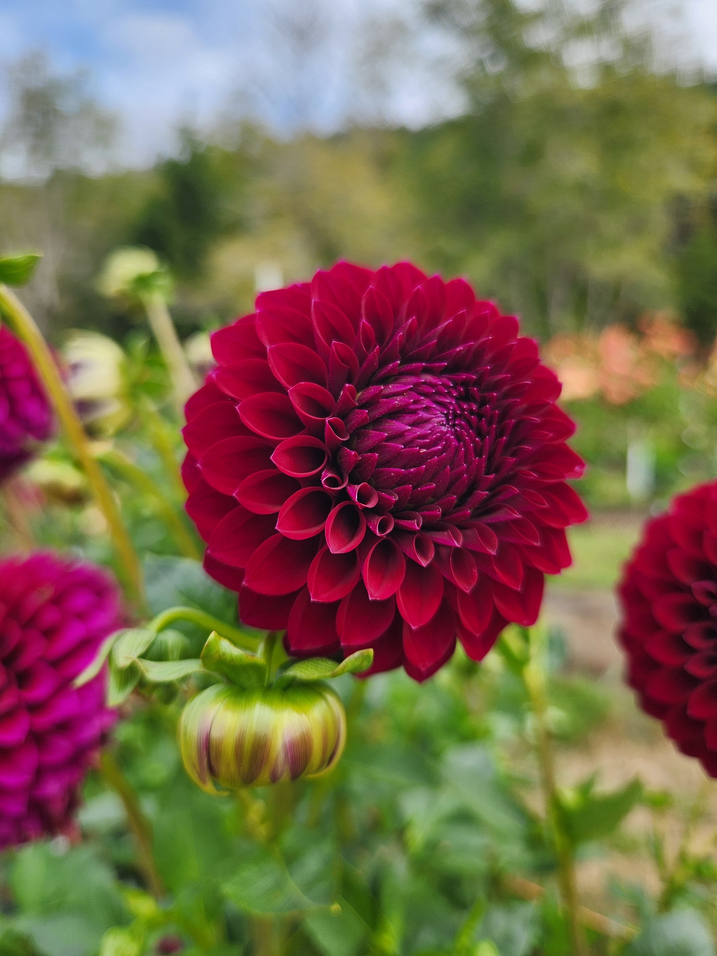 20260911_035518[1].jpg