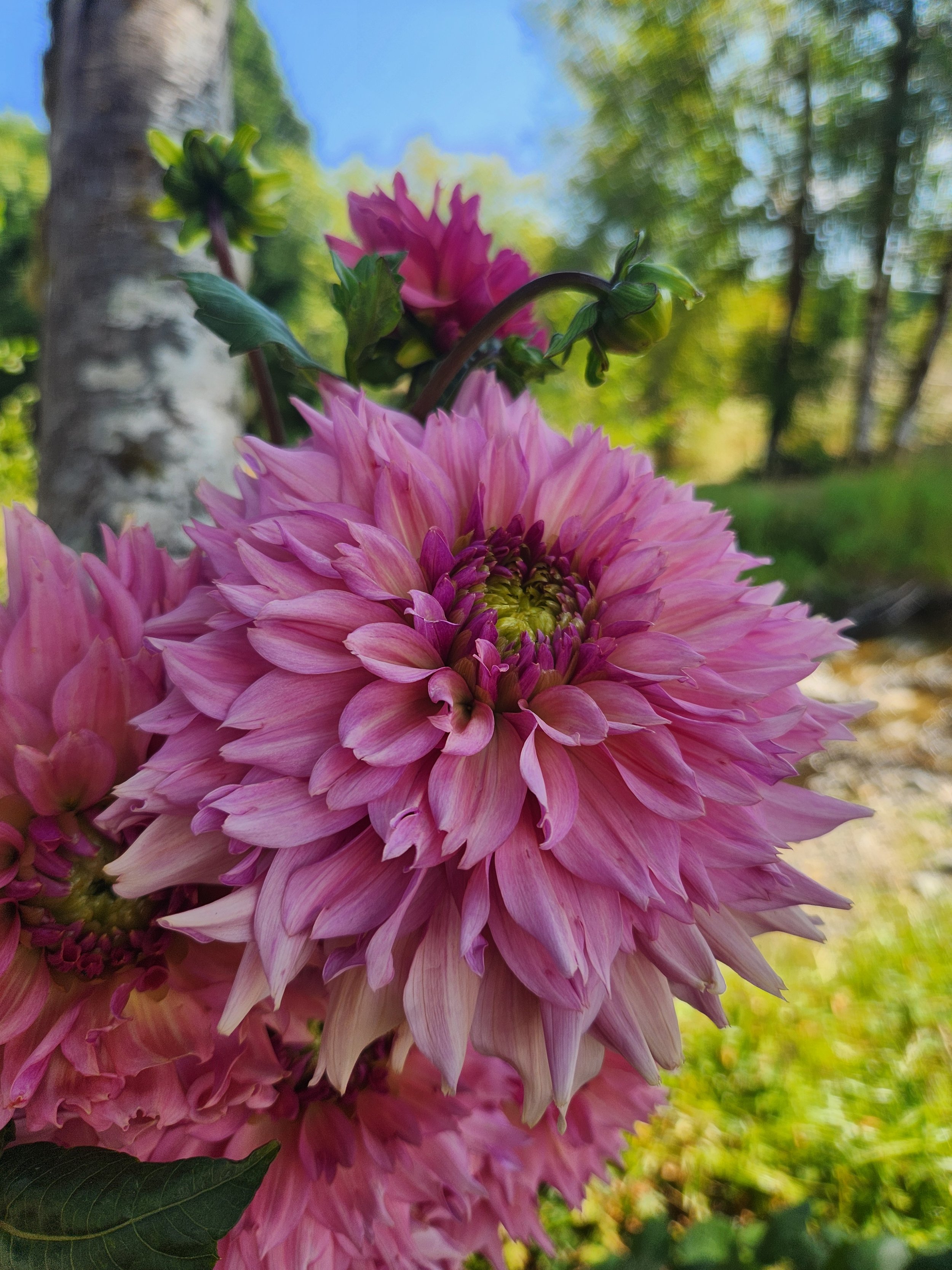20260817_054848[1].jpg