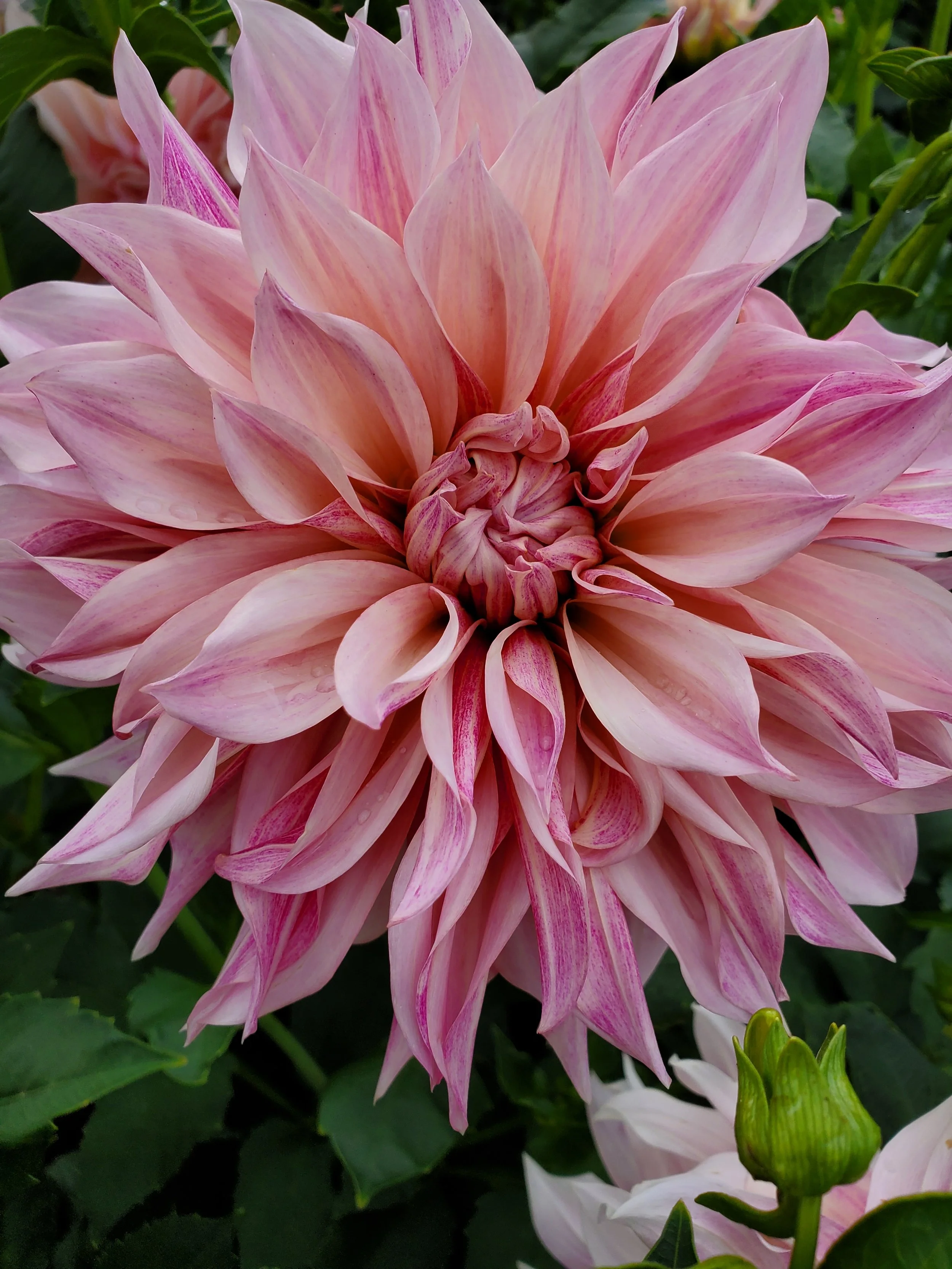 20250816_152145.jpg