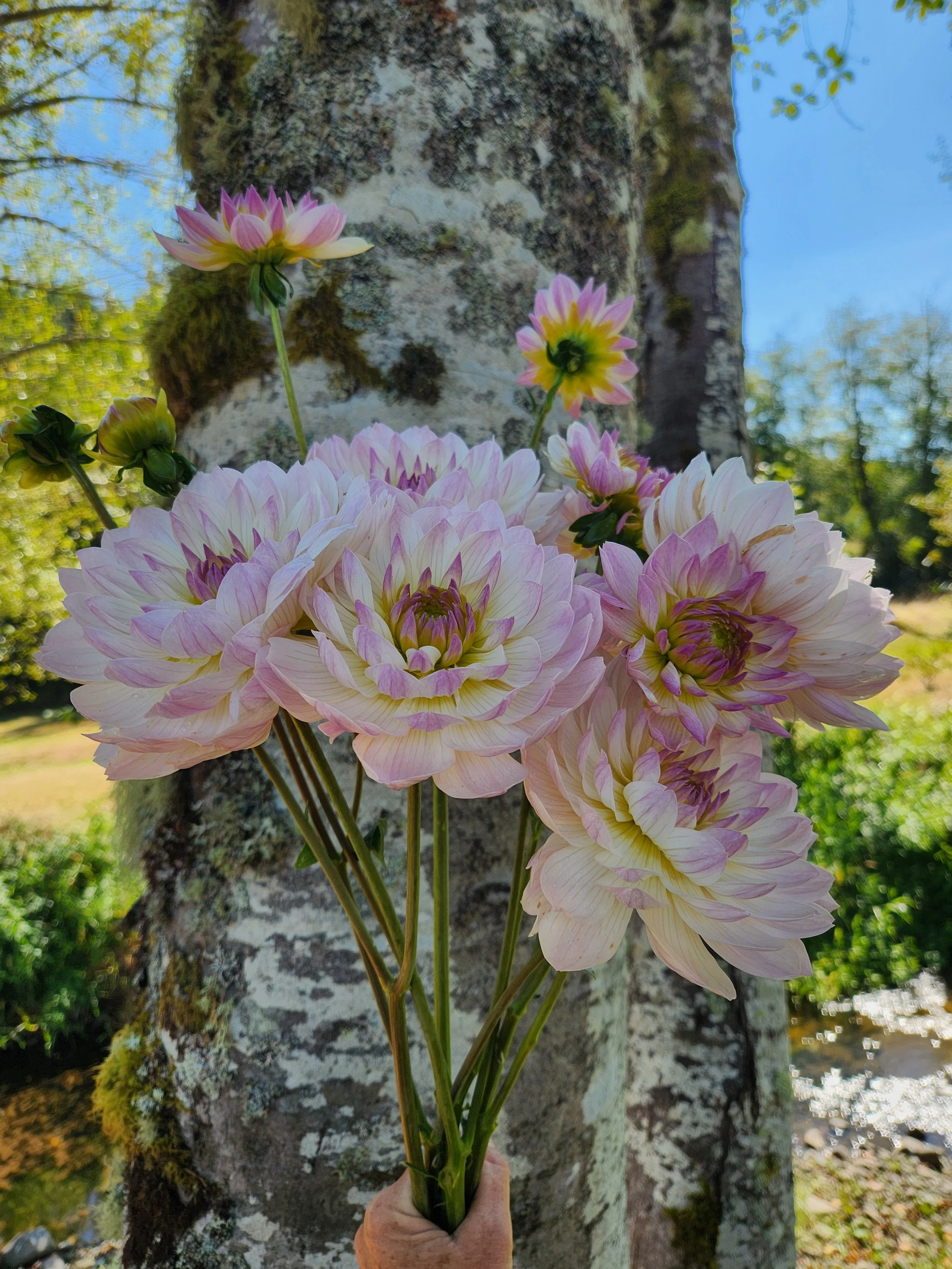 20260907_024011[1].jpg