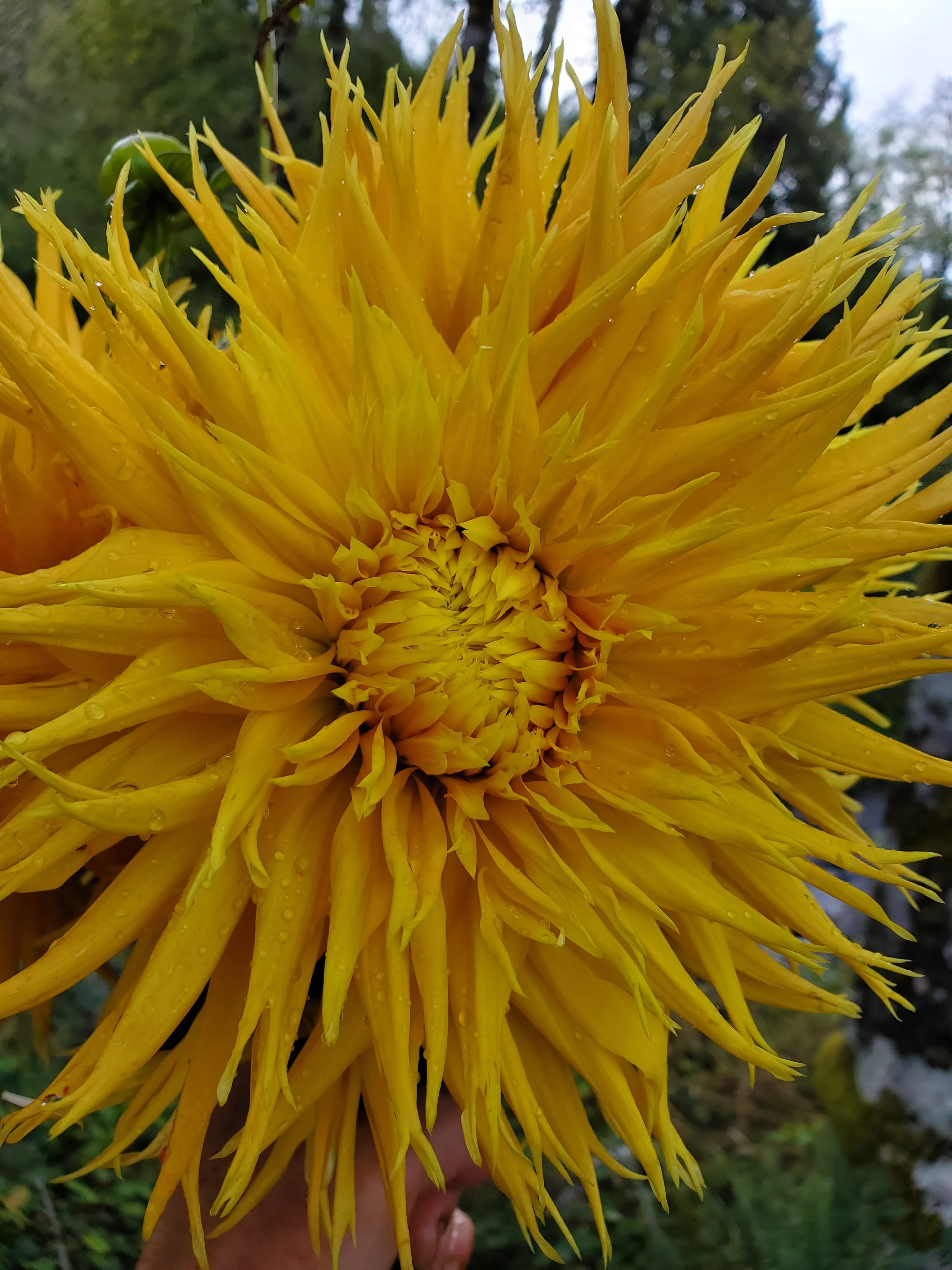 20251010_121551.jpg