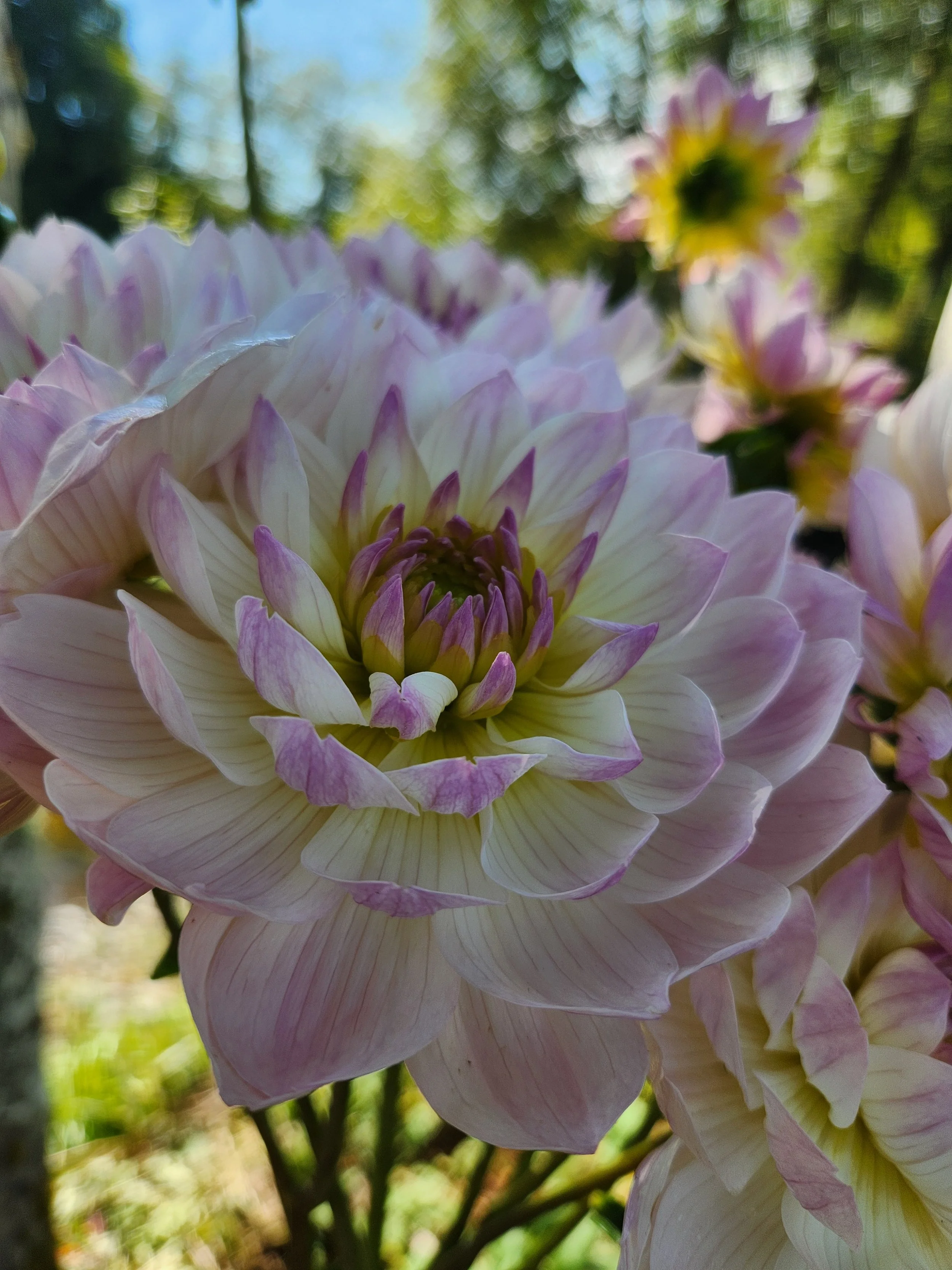 20260907_024005[1].jpg
