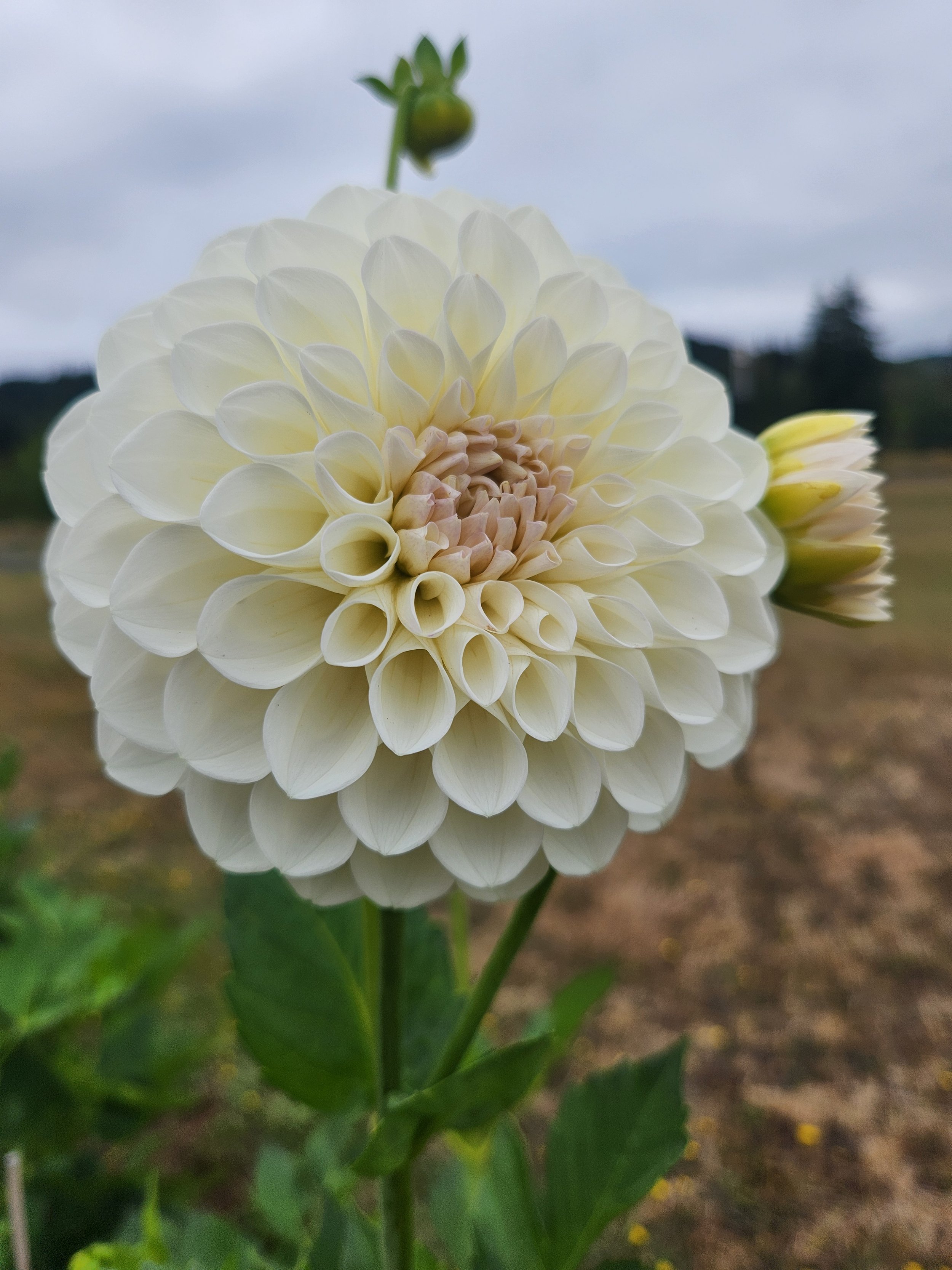 20260816_064558[1].jpg