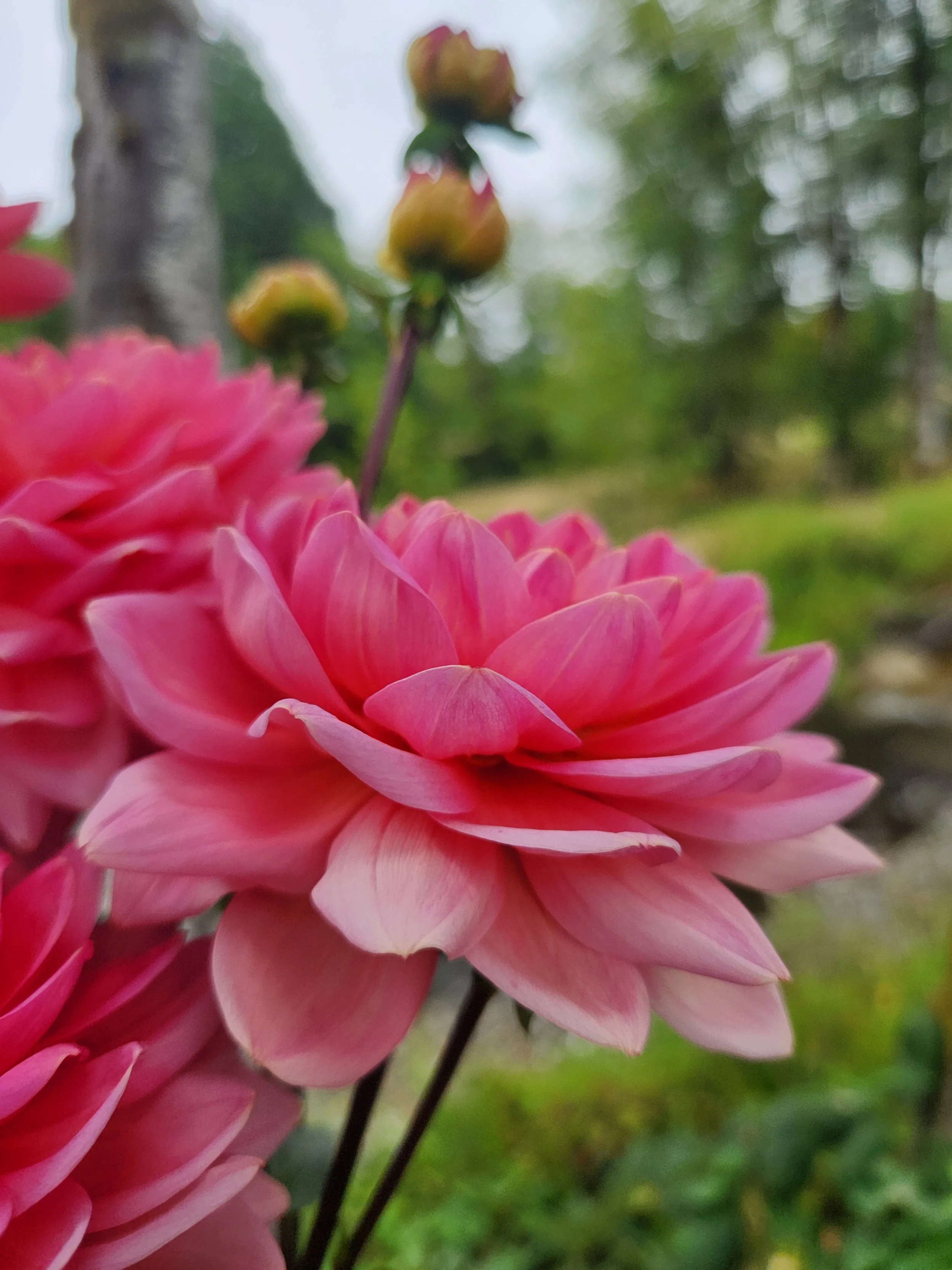 20260817_030823[1].jpg
