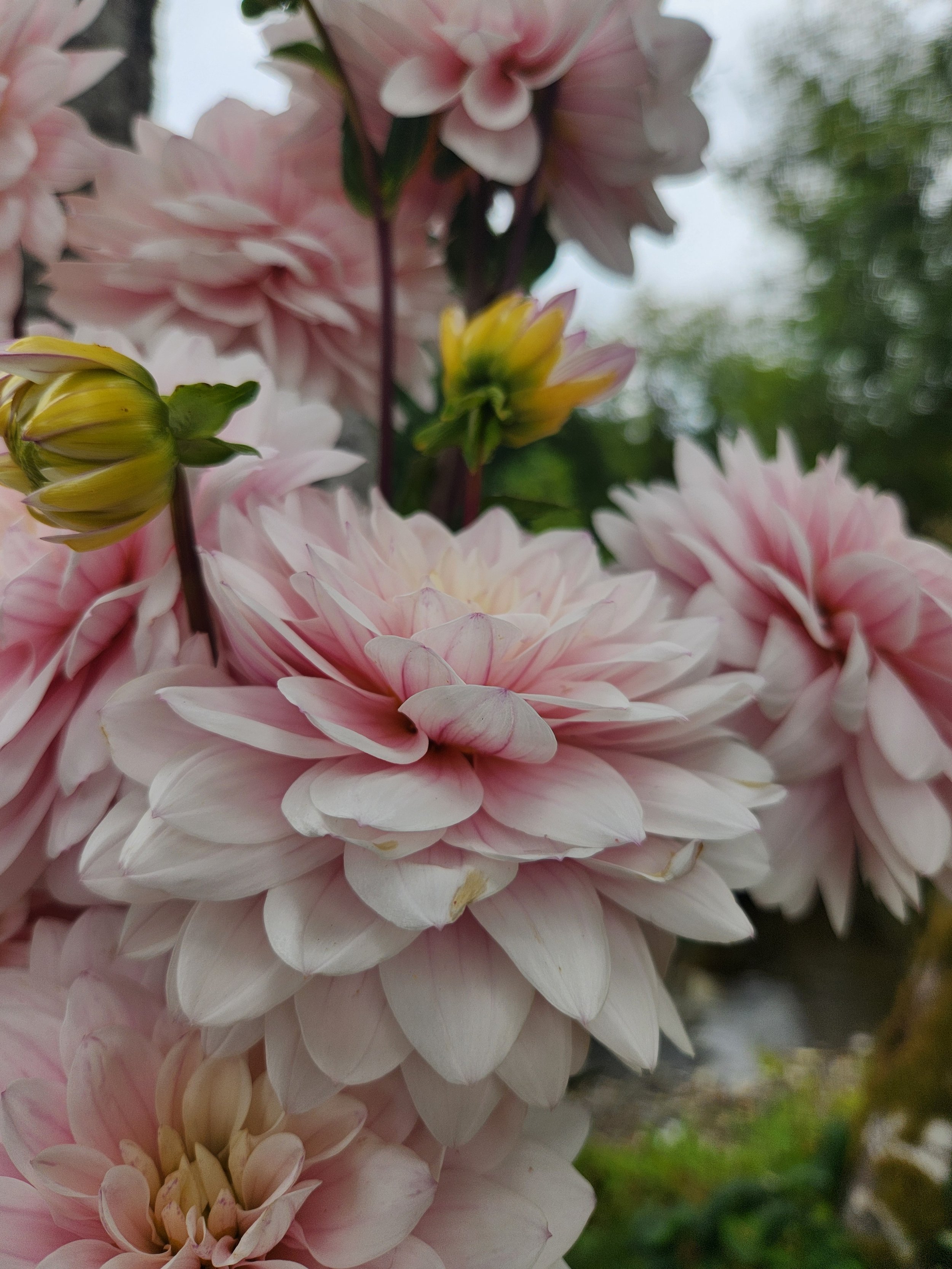 20260816_073638[1].jpg