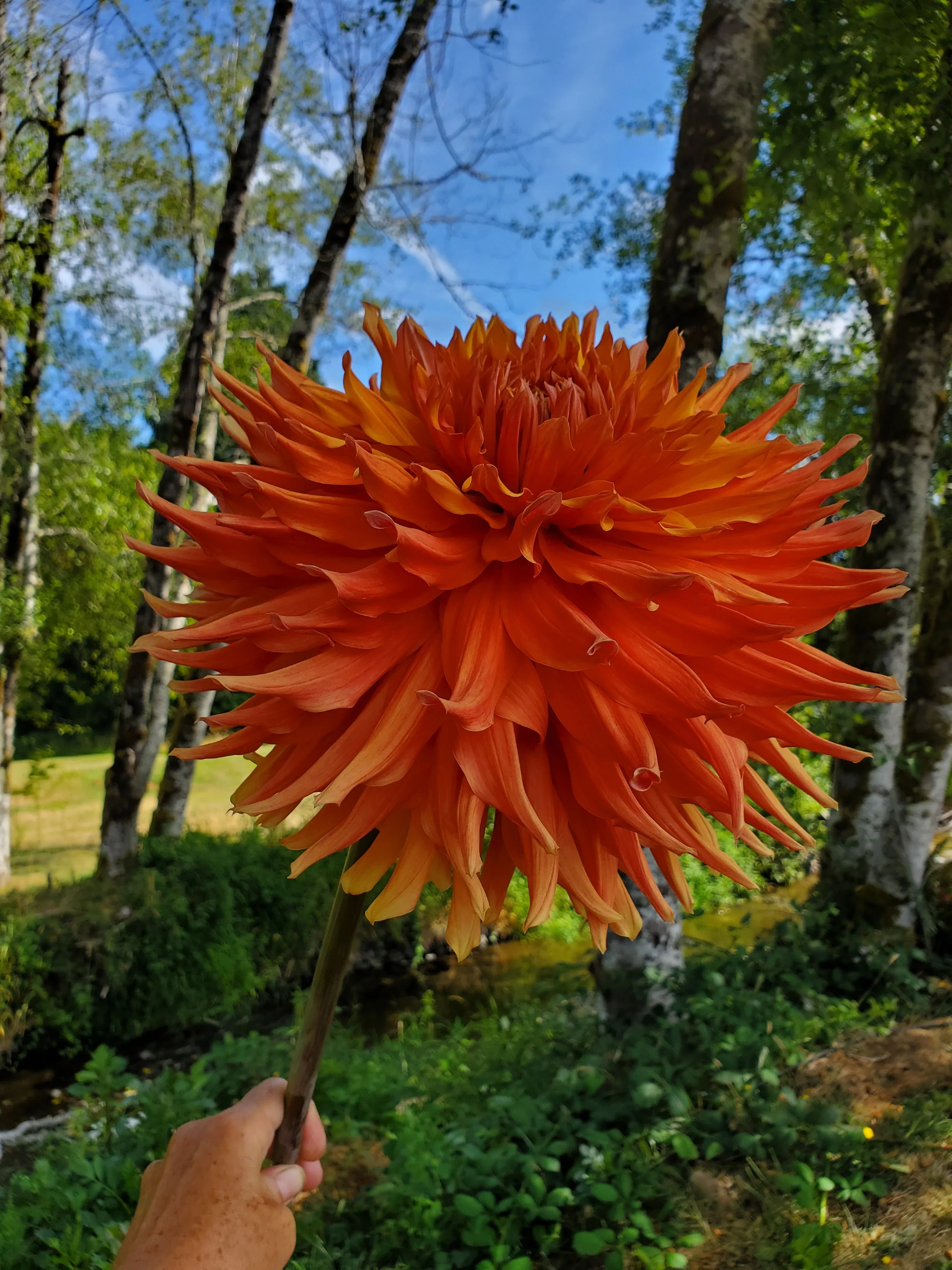 20260729_152152.jpg