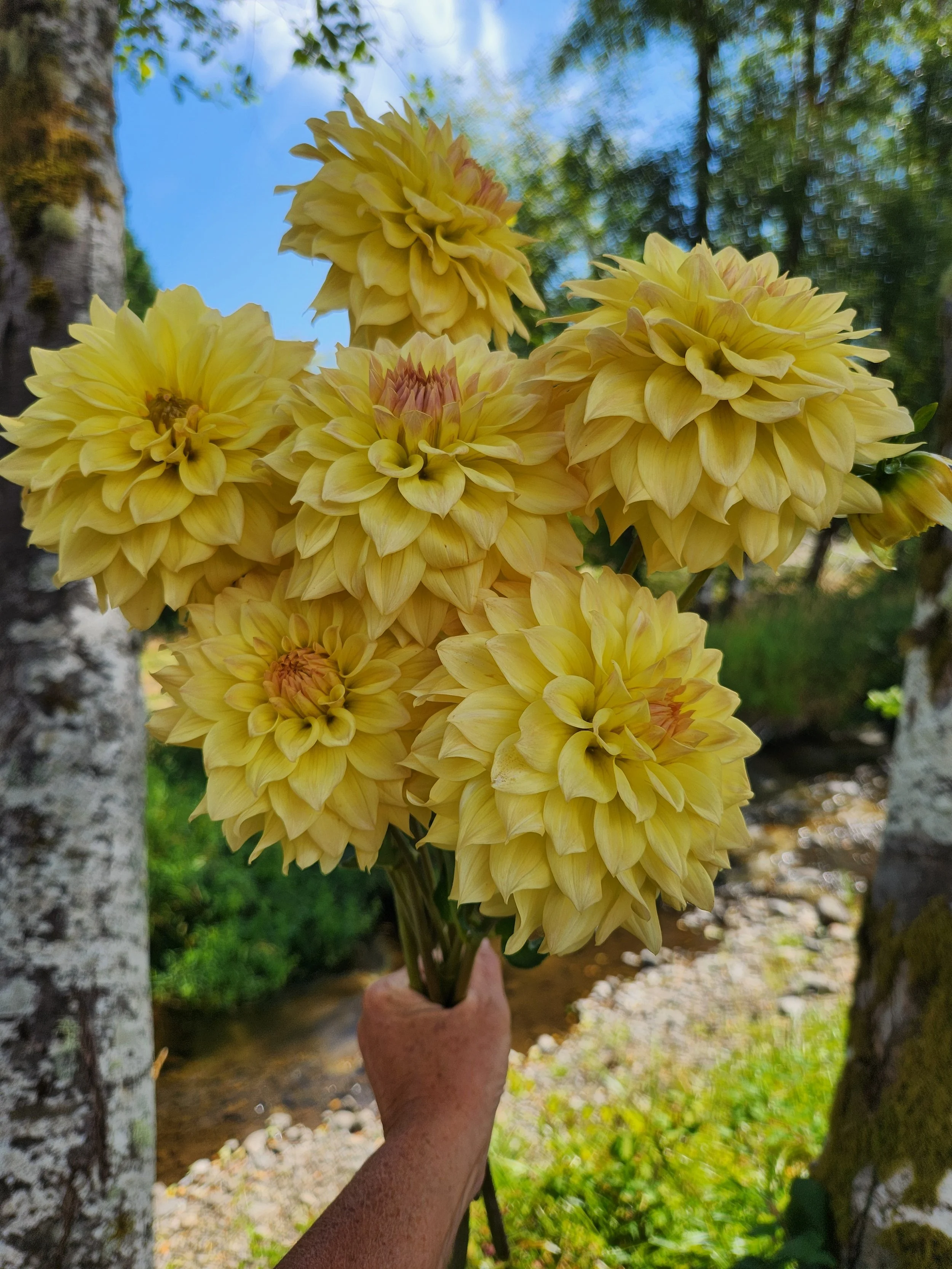 20260810_052633[1].jpg