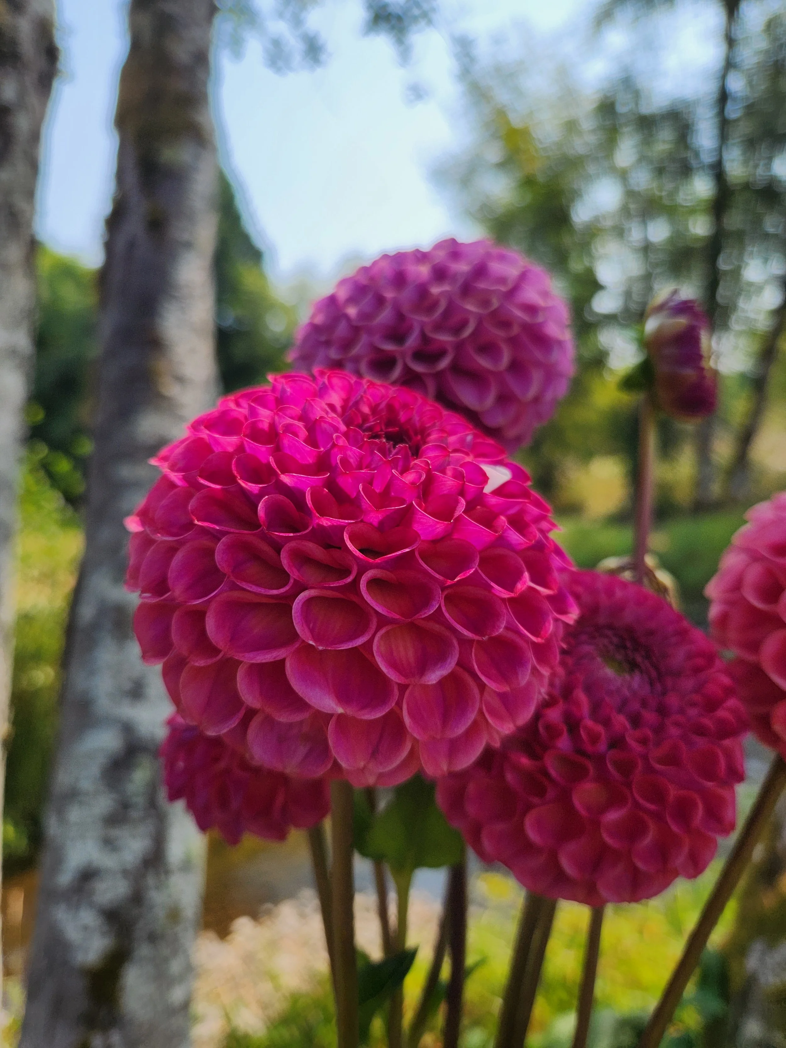 20260814_043104[1].jpg