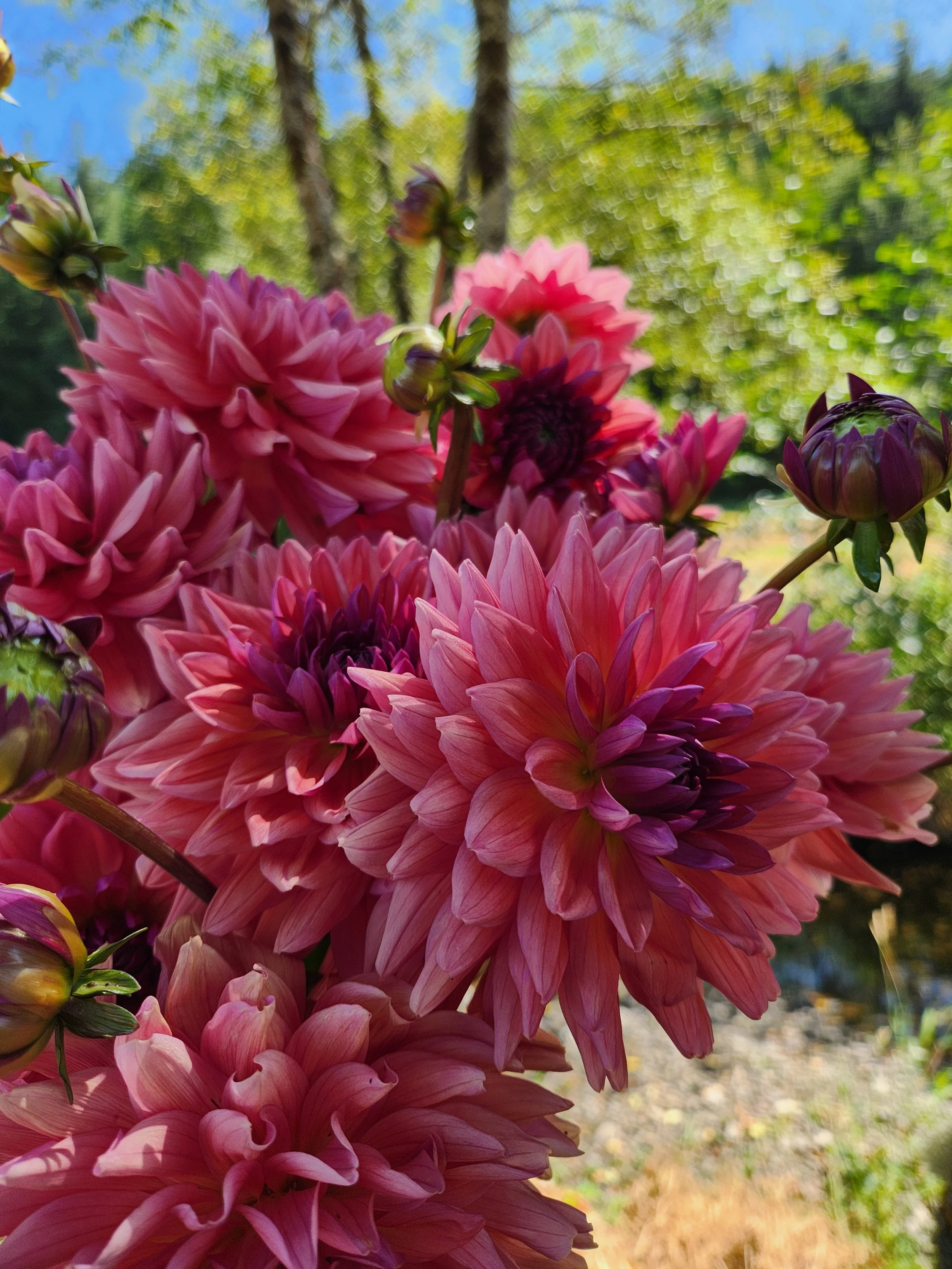 20260810_025022[1].jpg