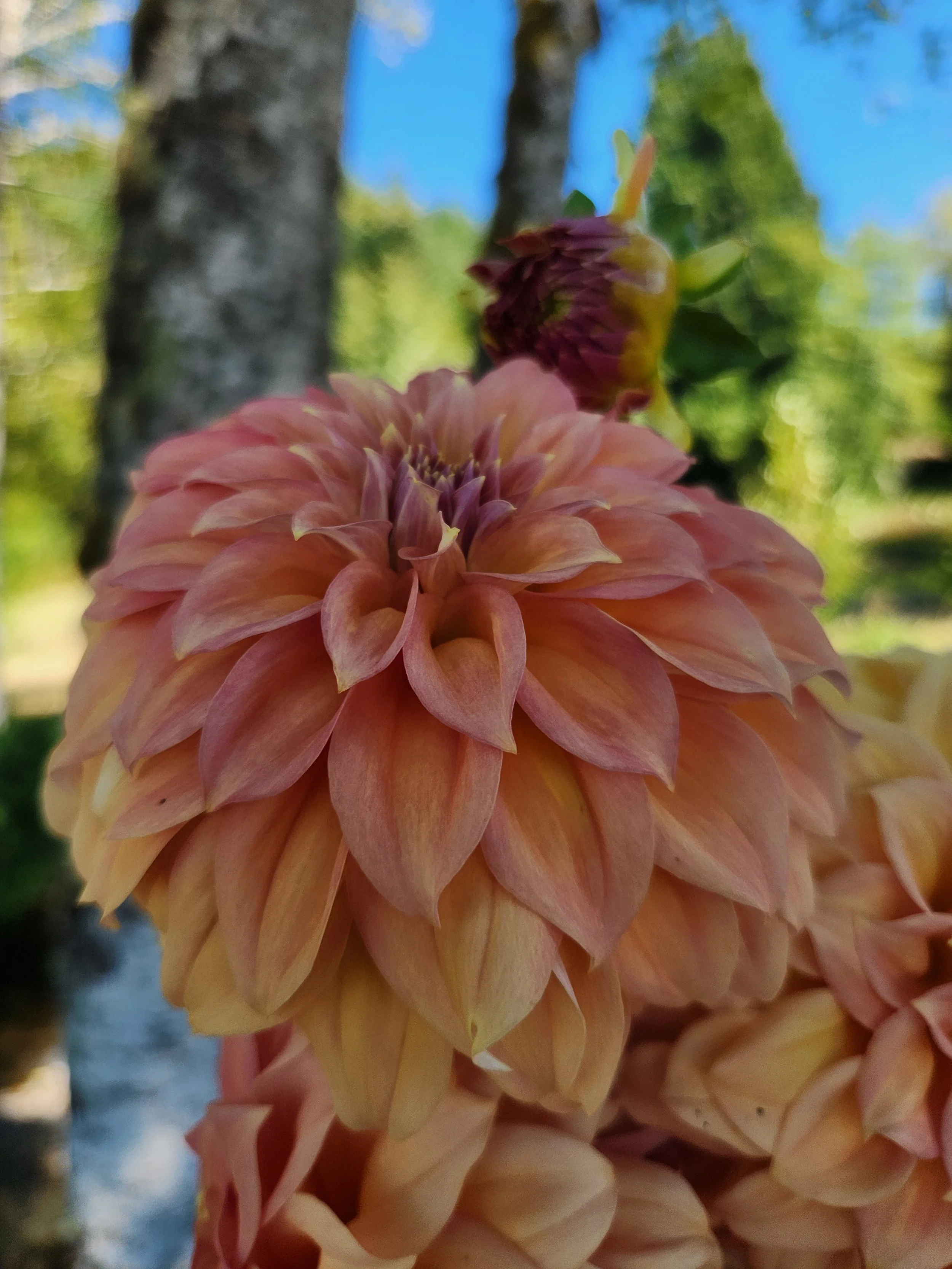 20260812_072831[1].jpg