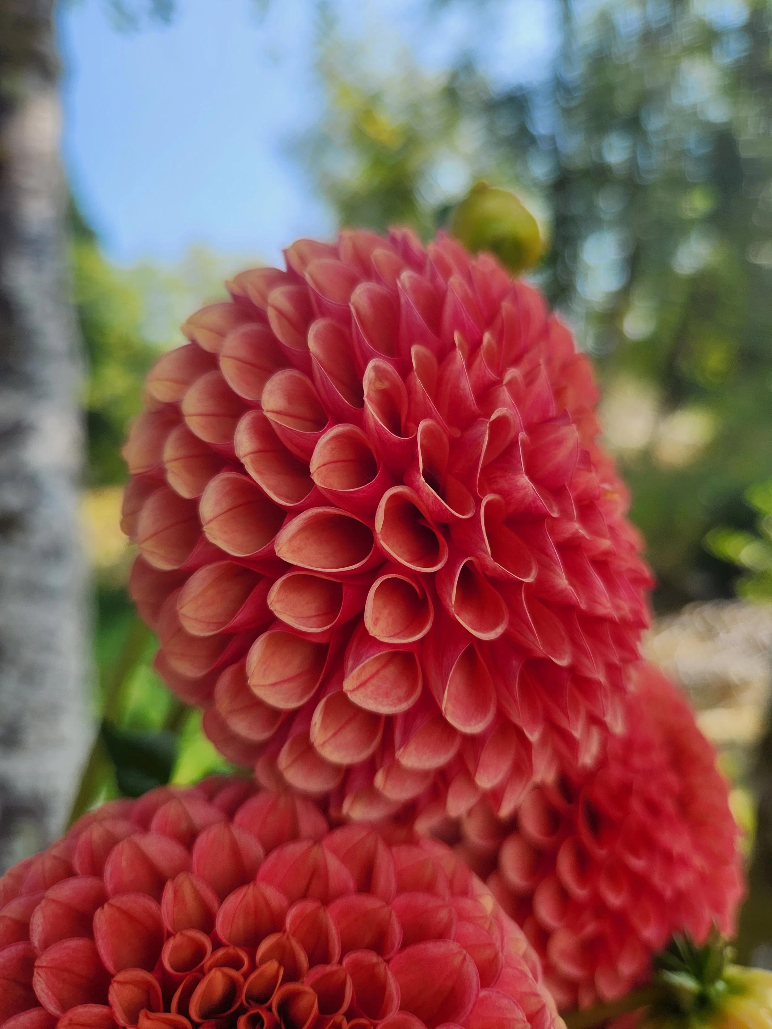 20260817_055106[1].jpg