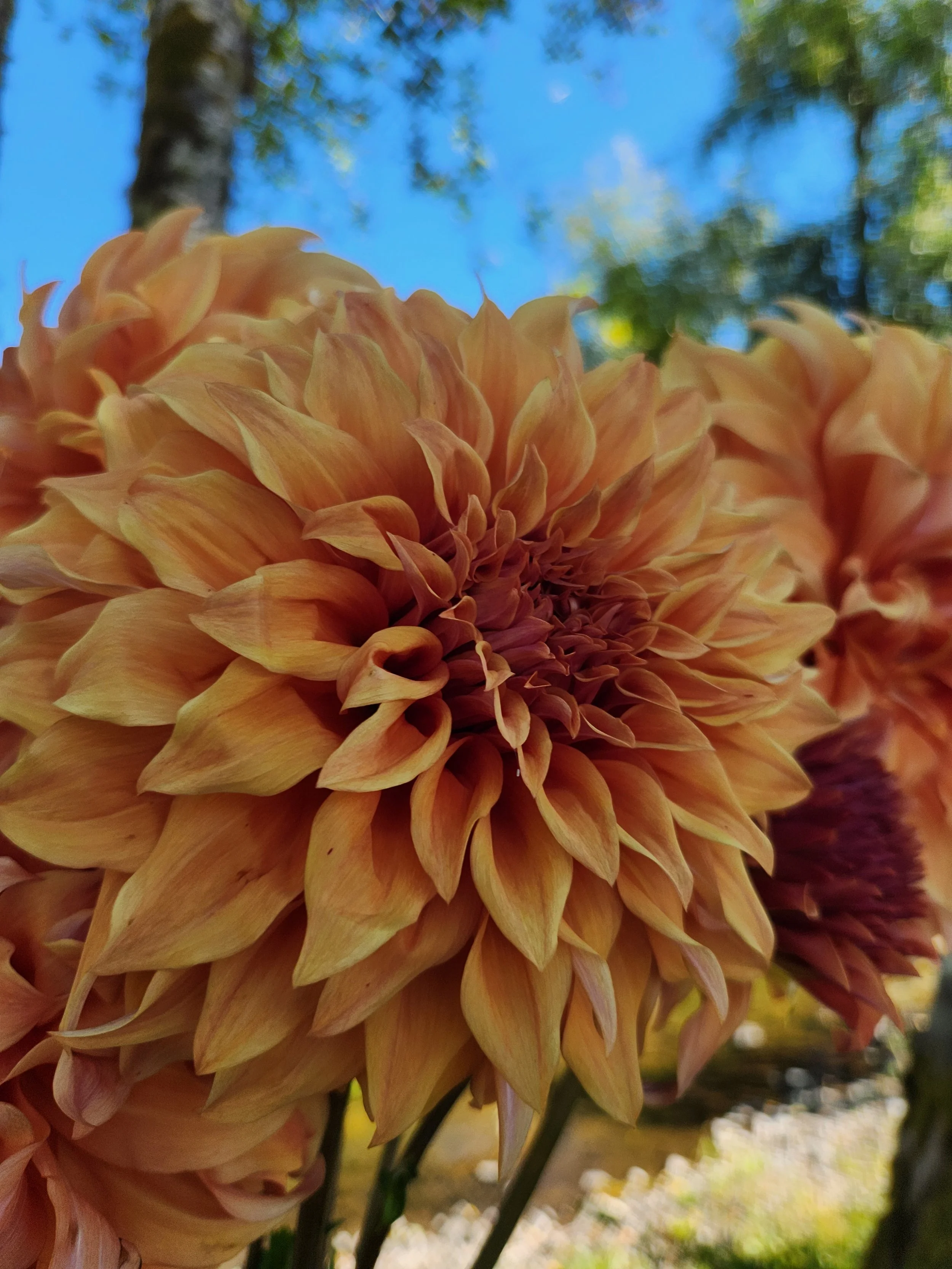 20260812_073308[1].jpg