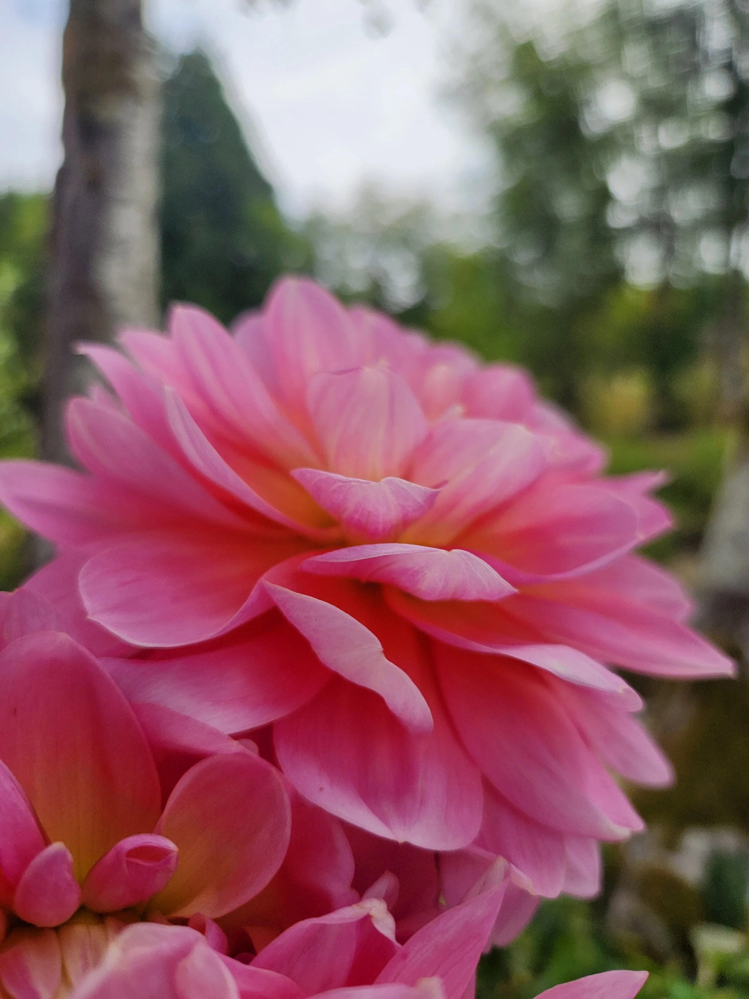 20260817_045212[1].jpg