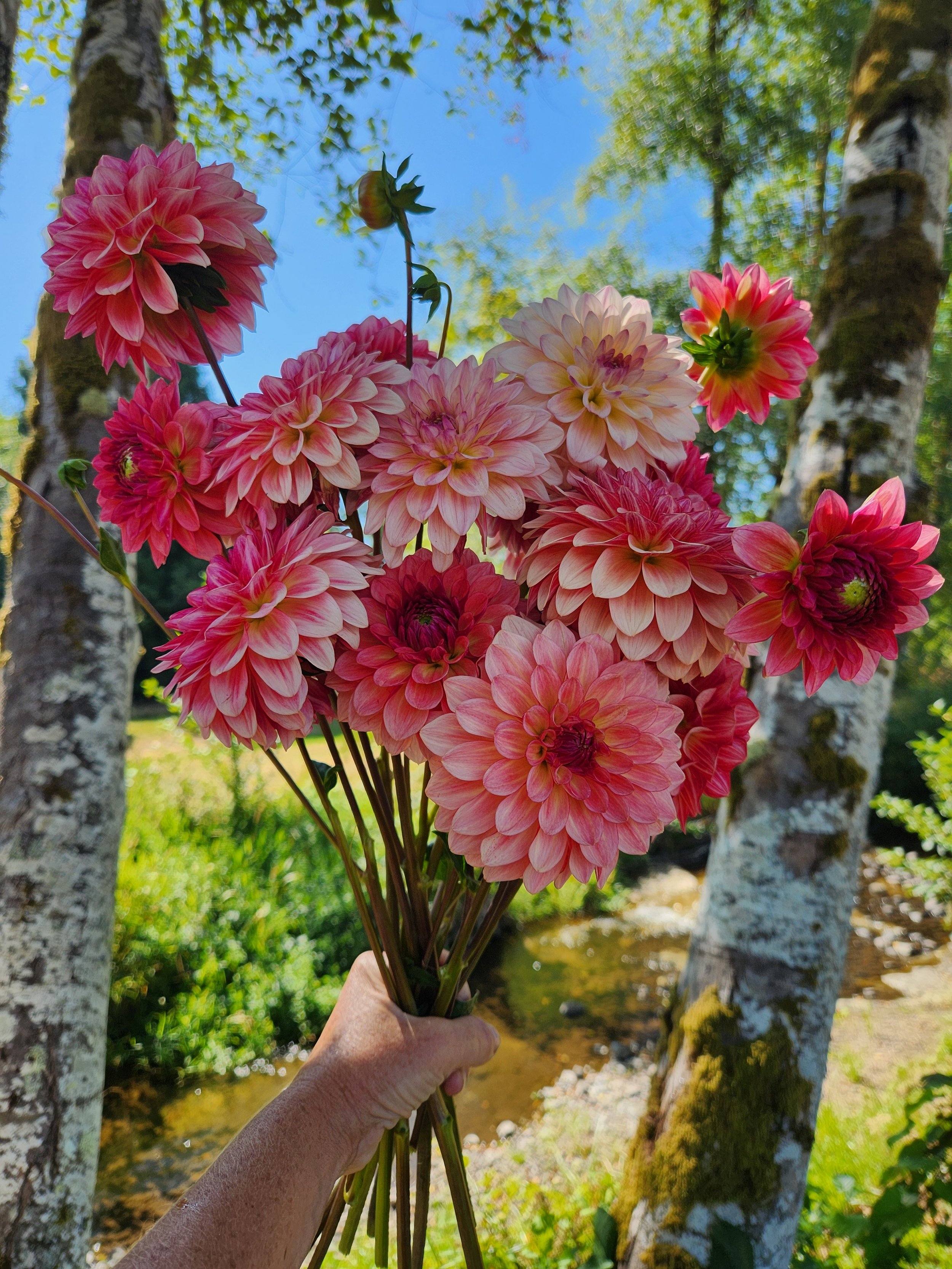 20260810_020627[1].jpg