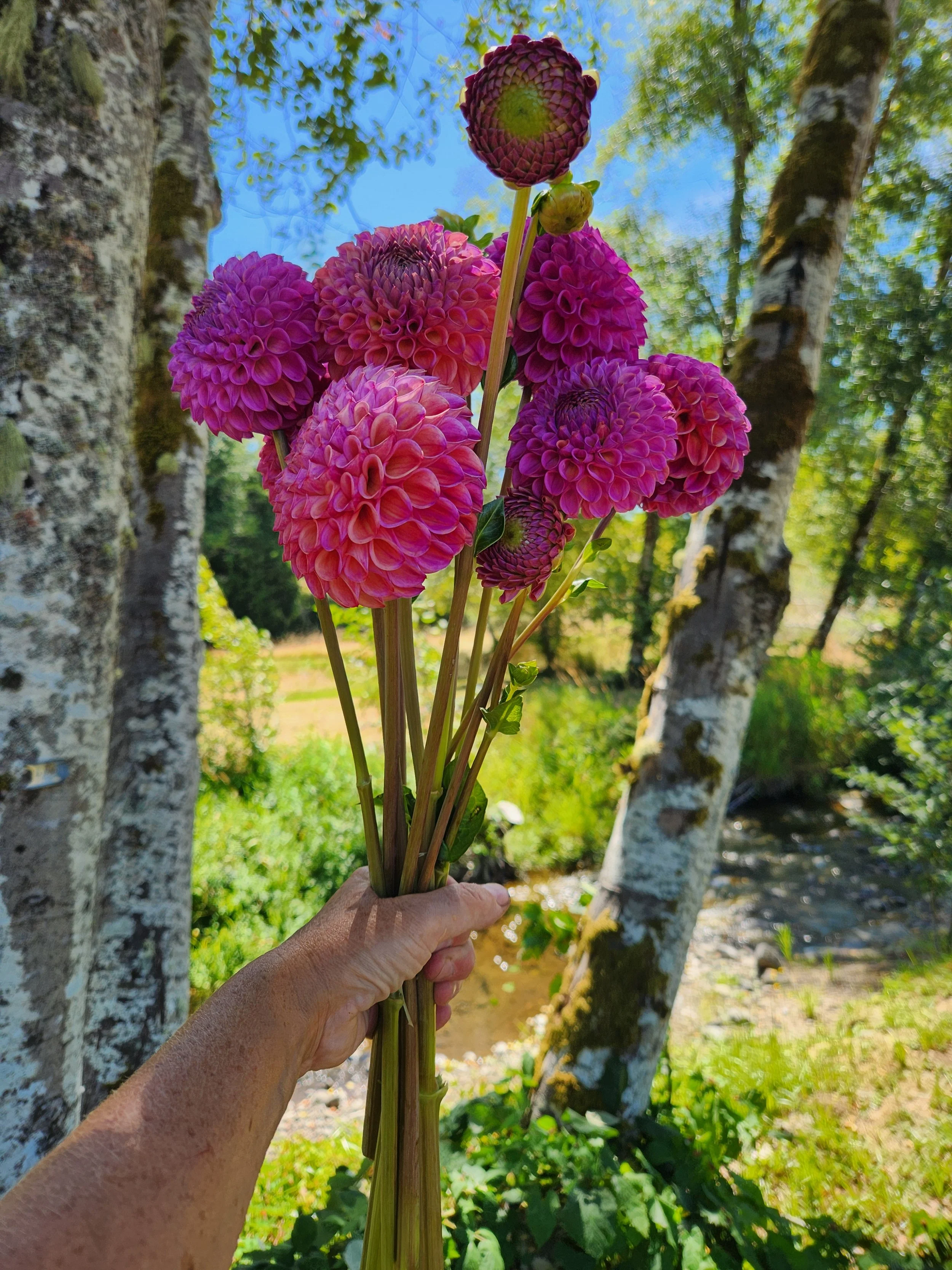20260809_034402[1].jpg