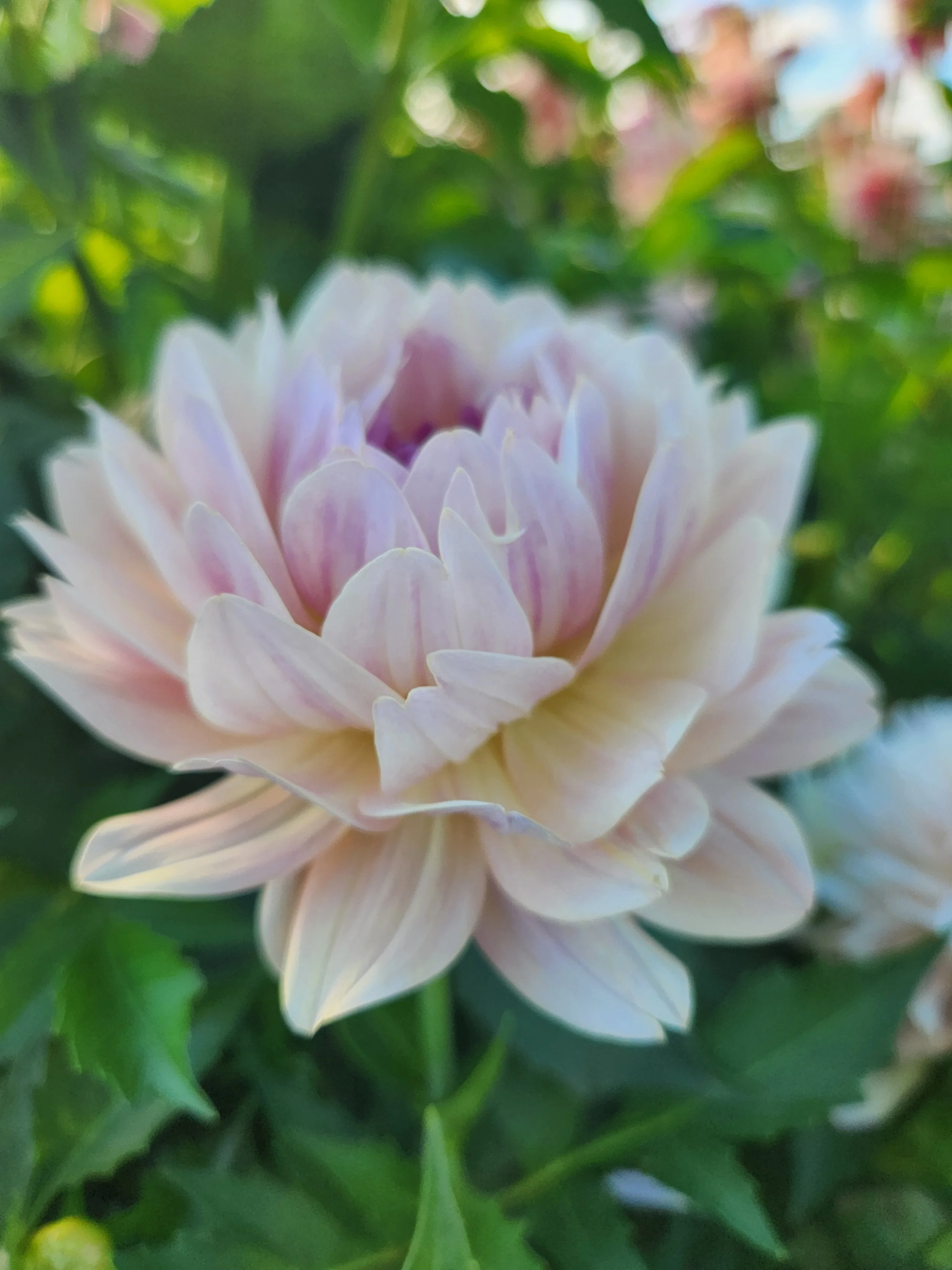 Joel's Favorite