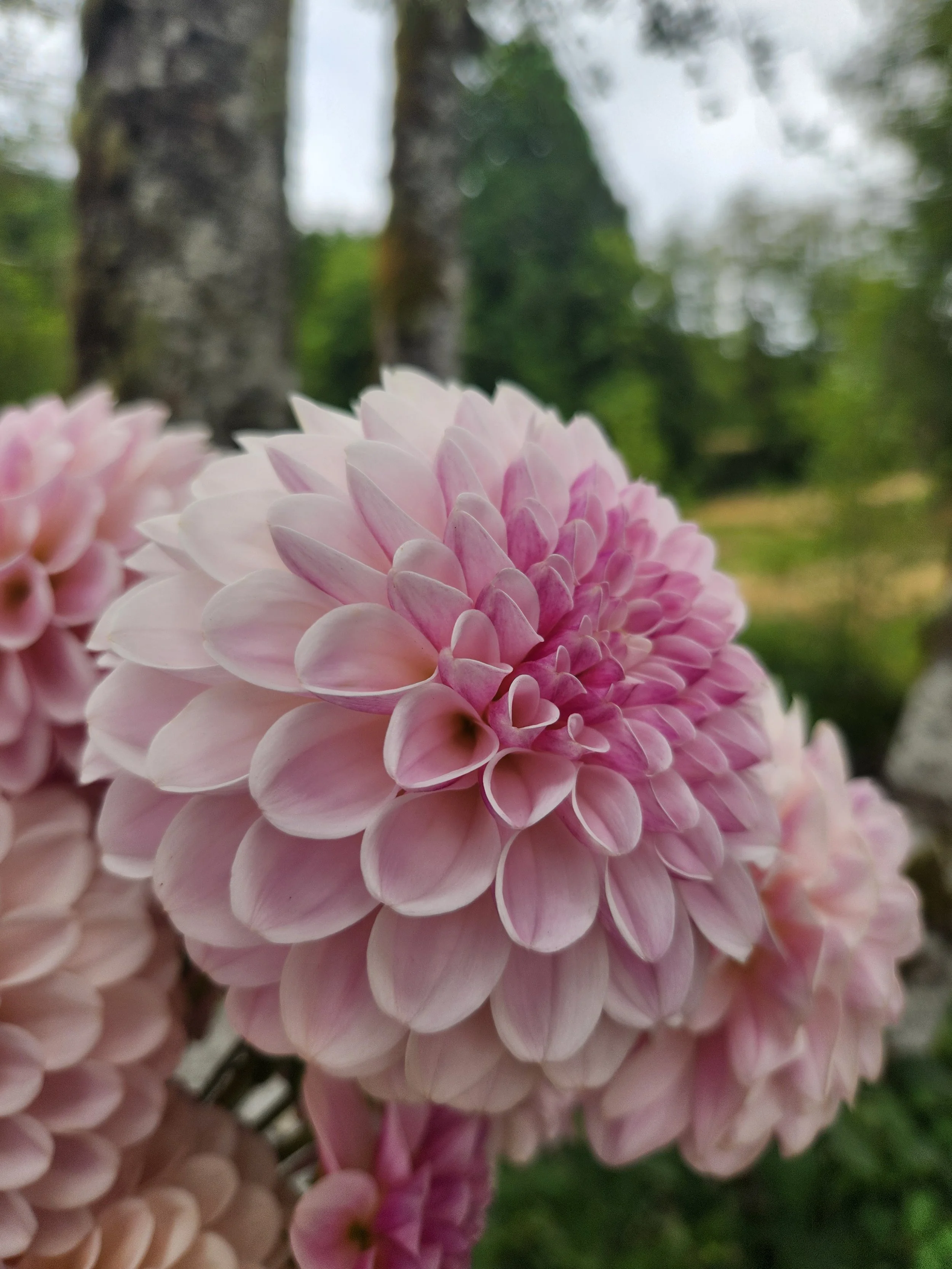20260816_073817[1].jpg