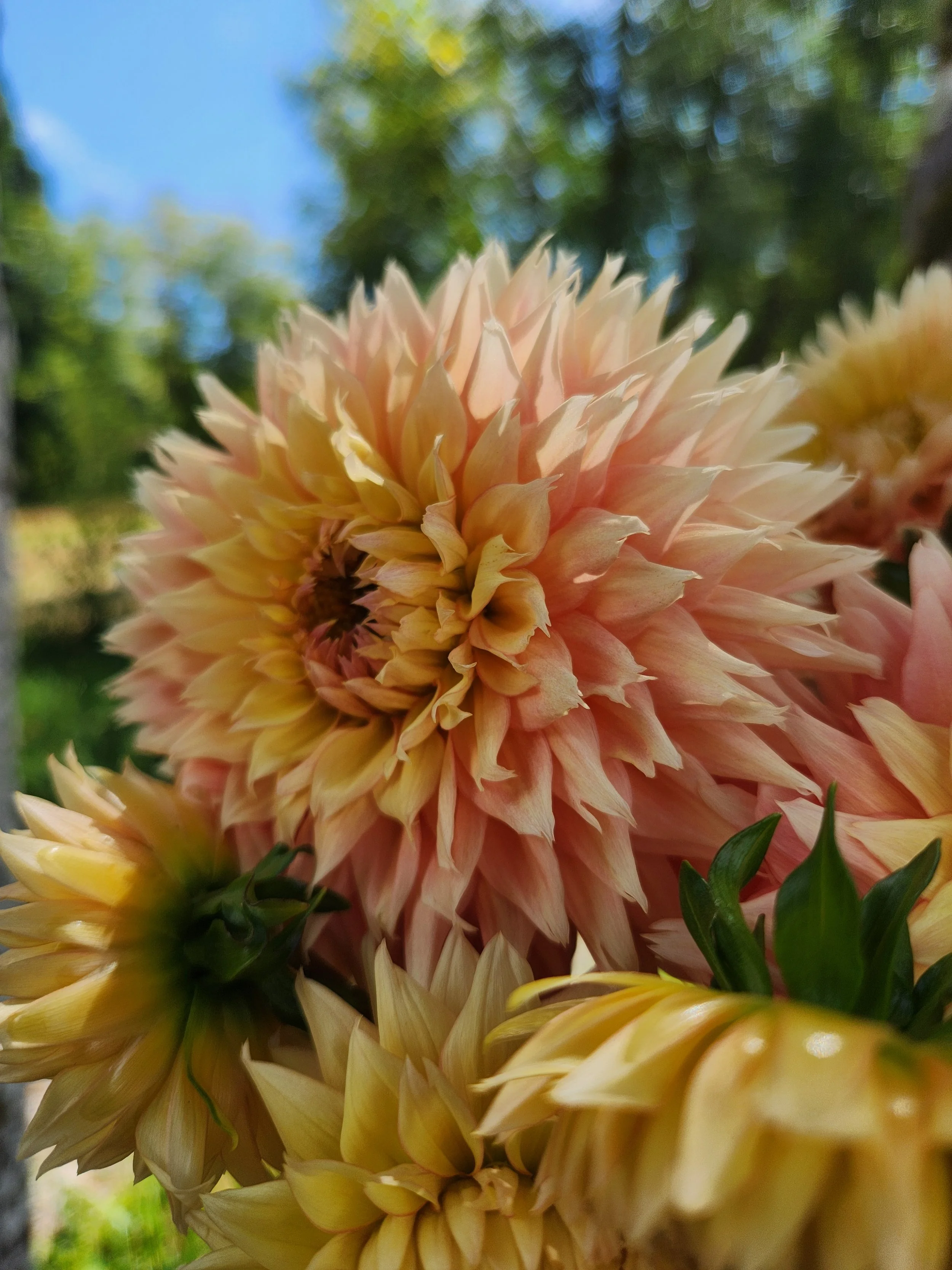 20260810_052353[1].jpg