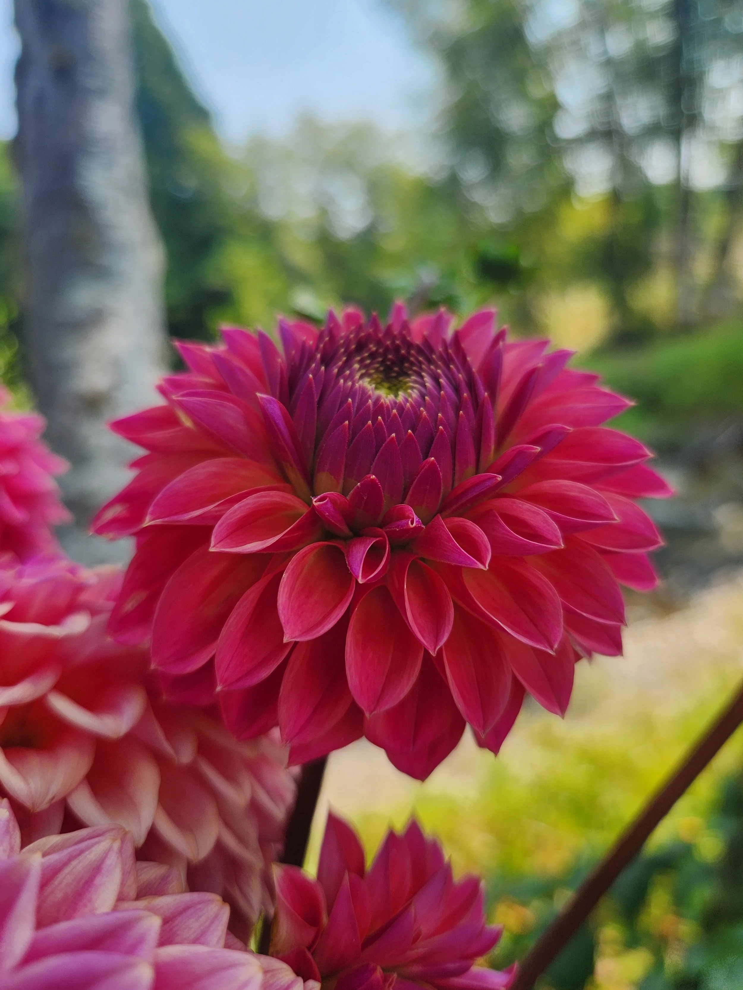 20260814_051311[1].jpg