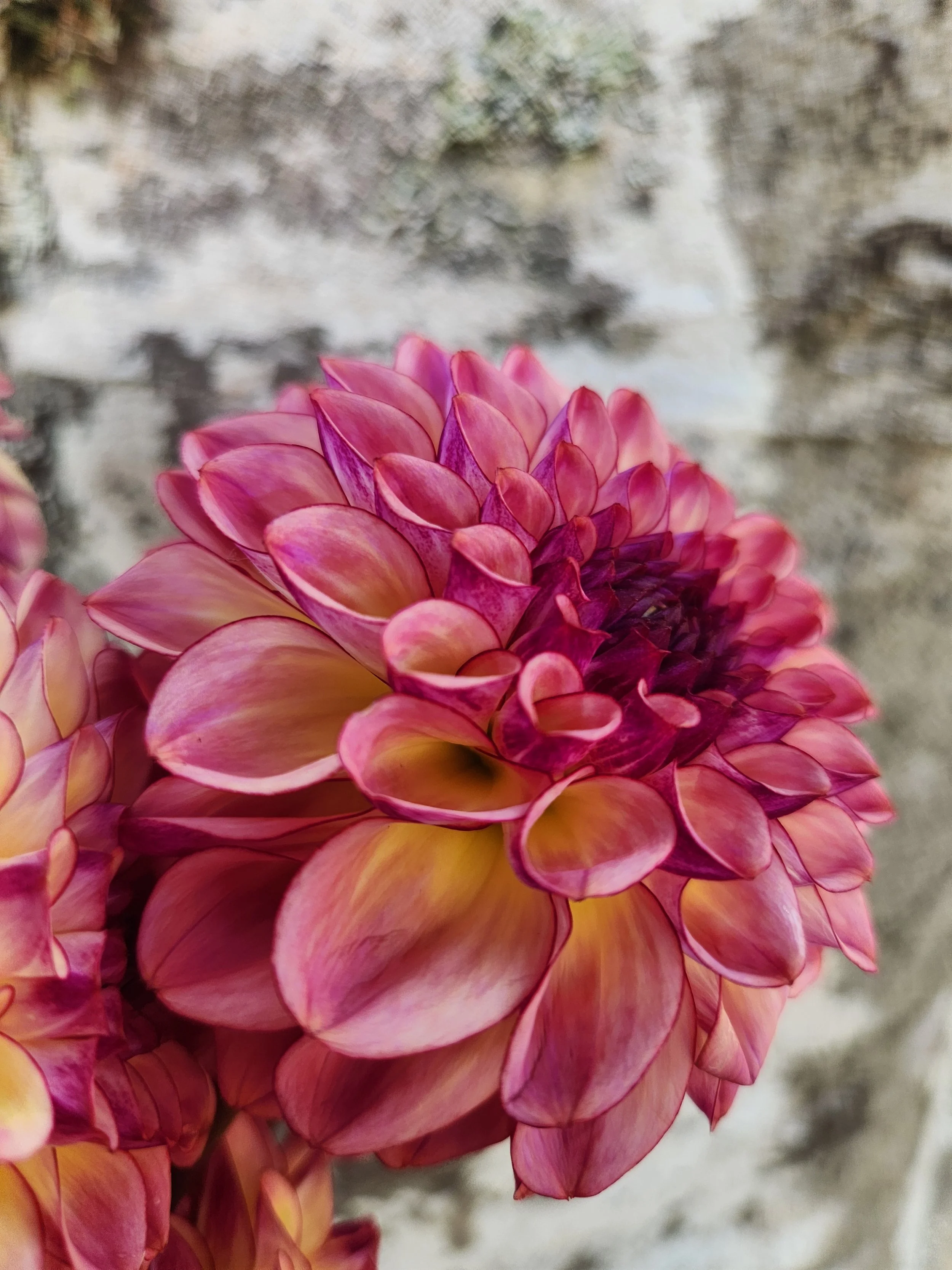 20260810_040500[1].jpg
