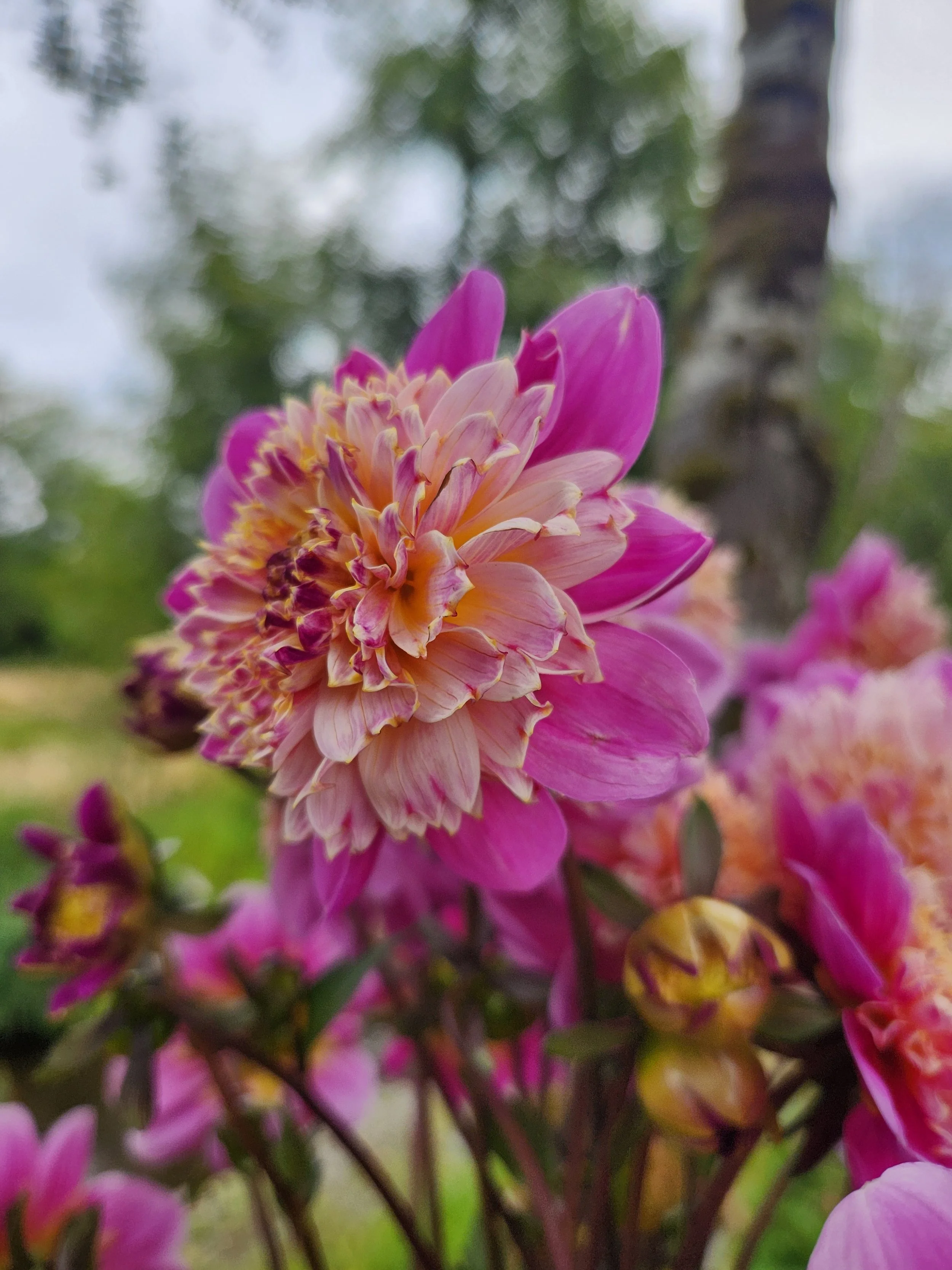 20260816_081823[1].jpg