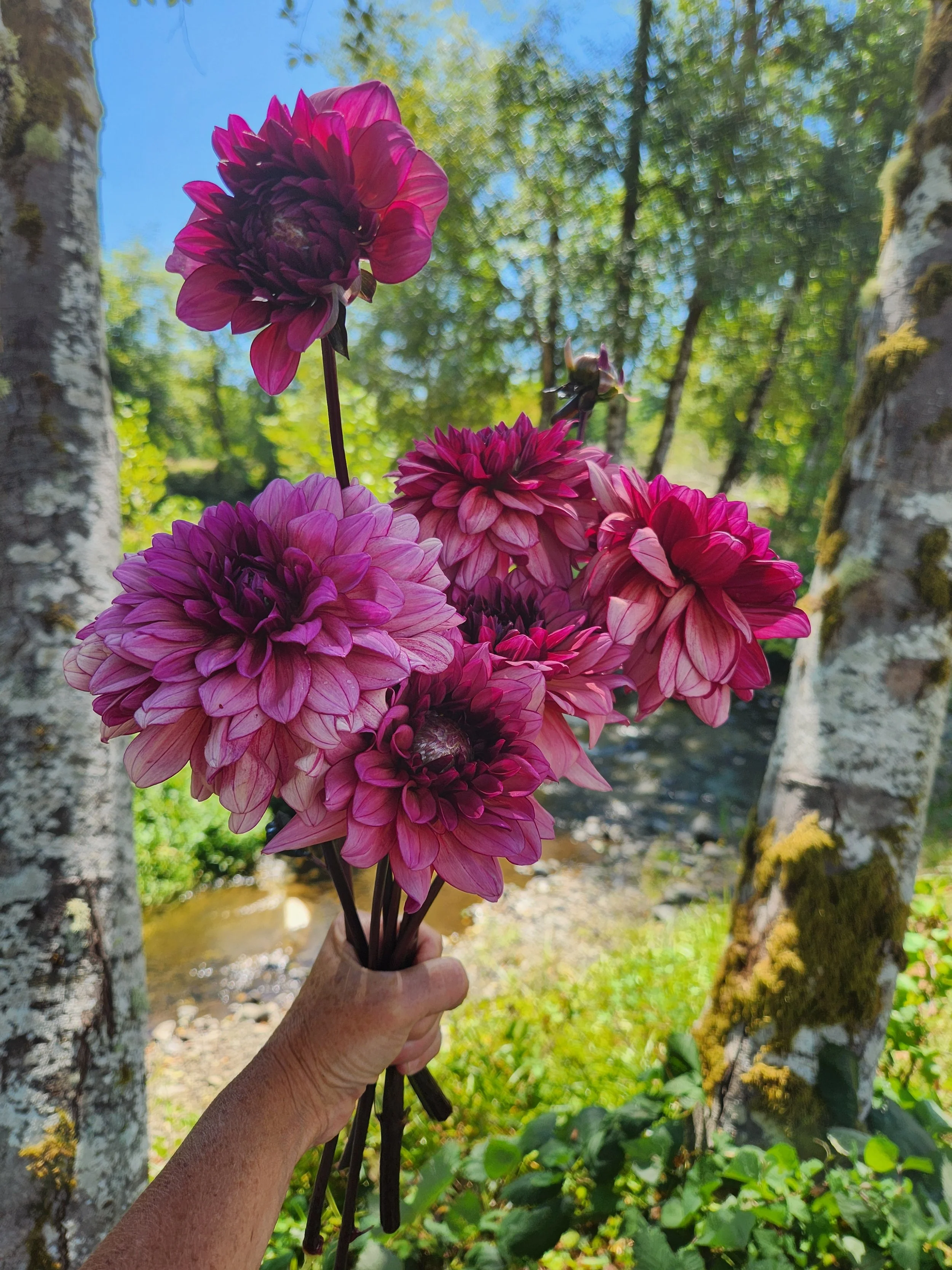 20260810_040239[1].jpg