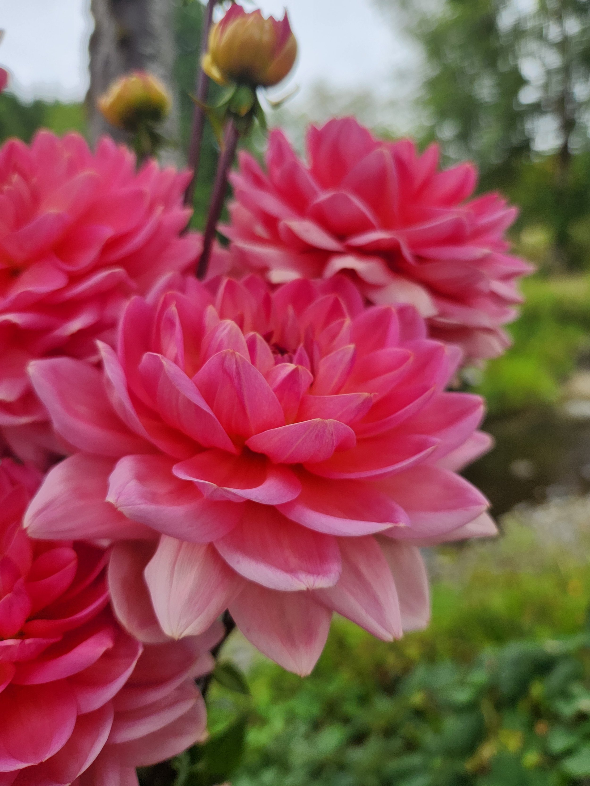 20260817_030800[1].jpg