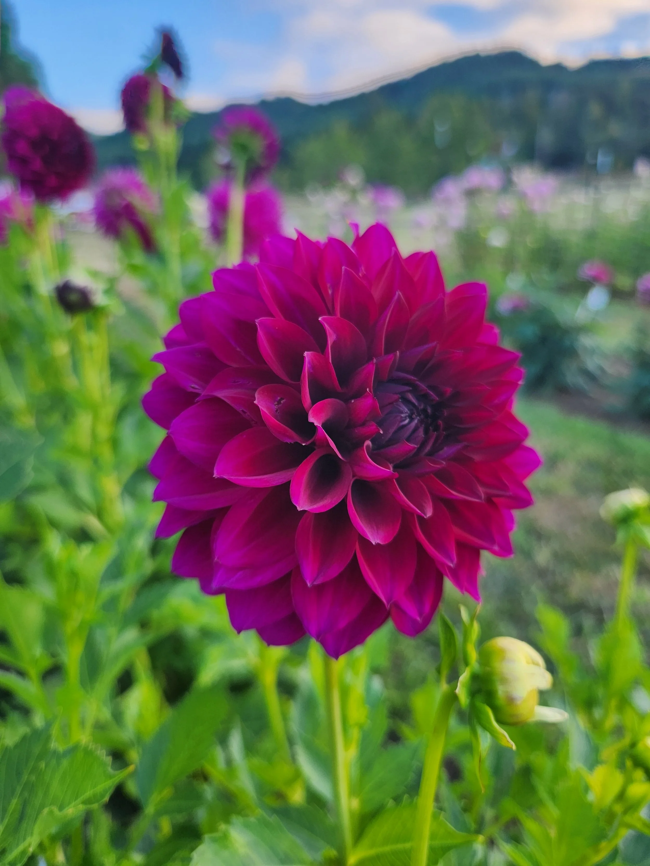 20260812_101601[1].jpg
