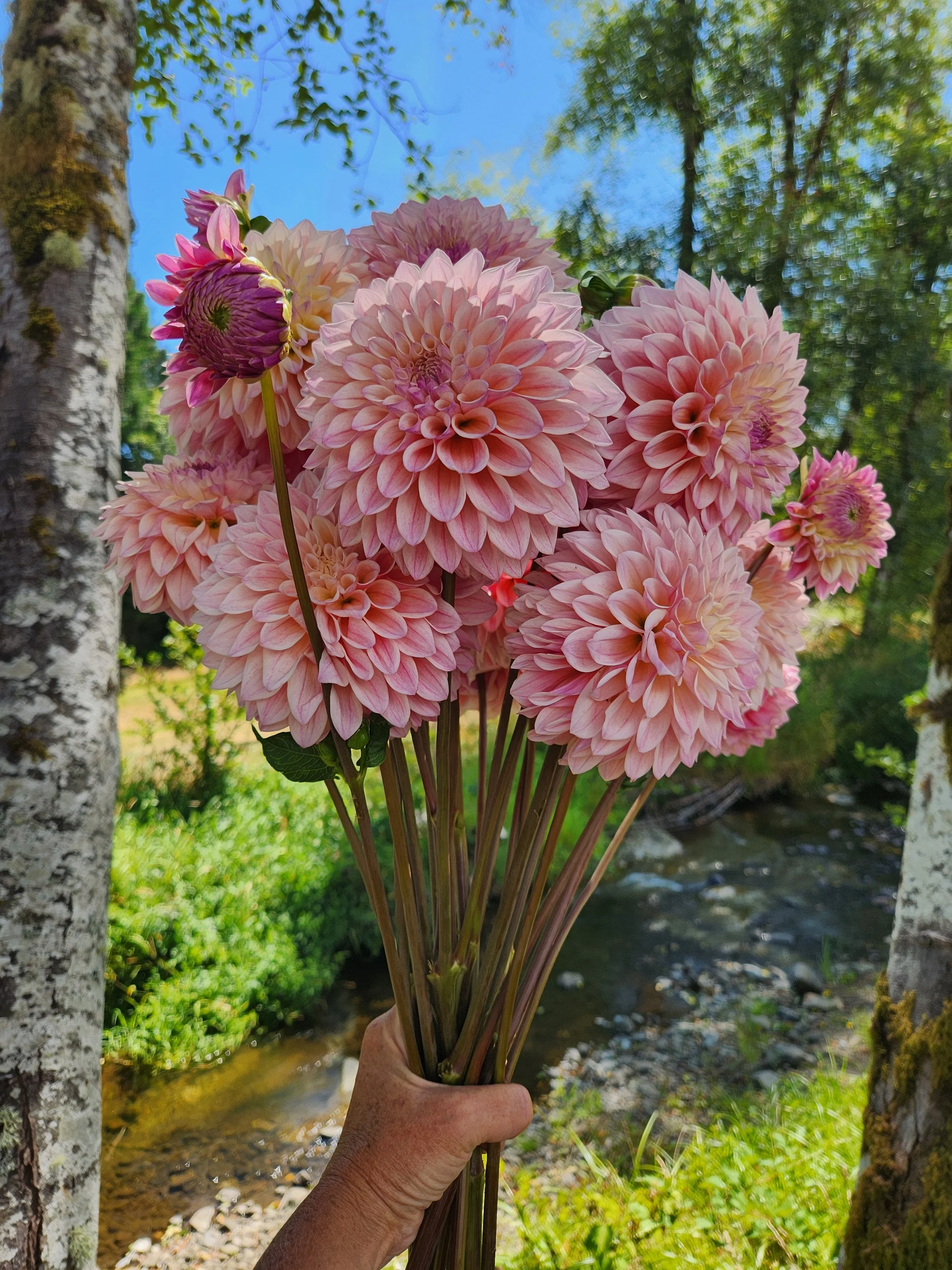20260810_043615[1].jpg