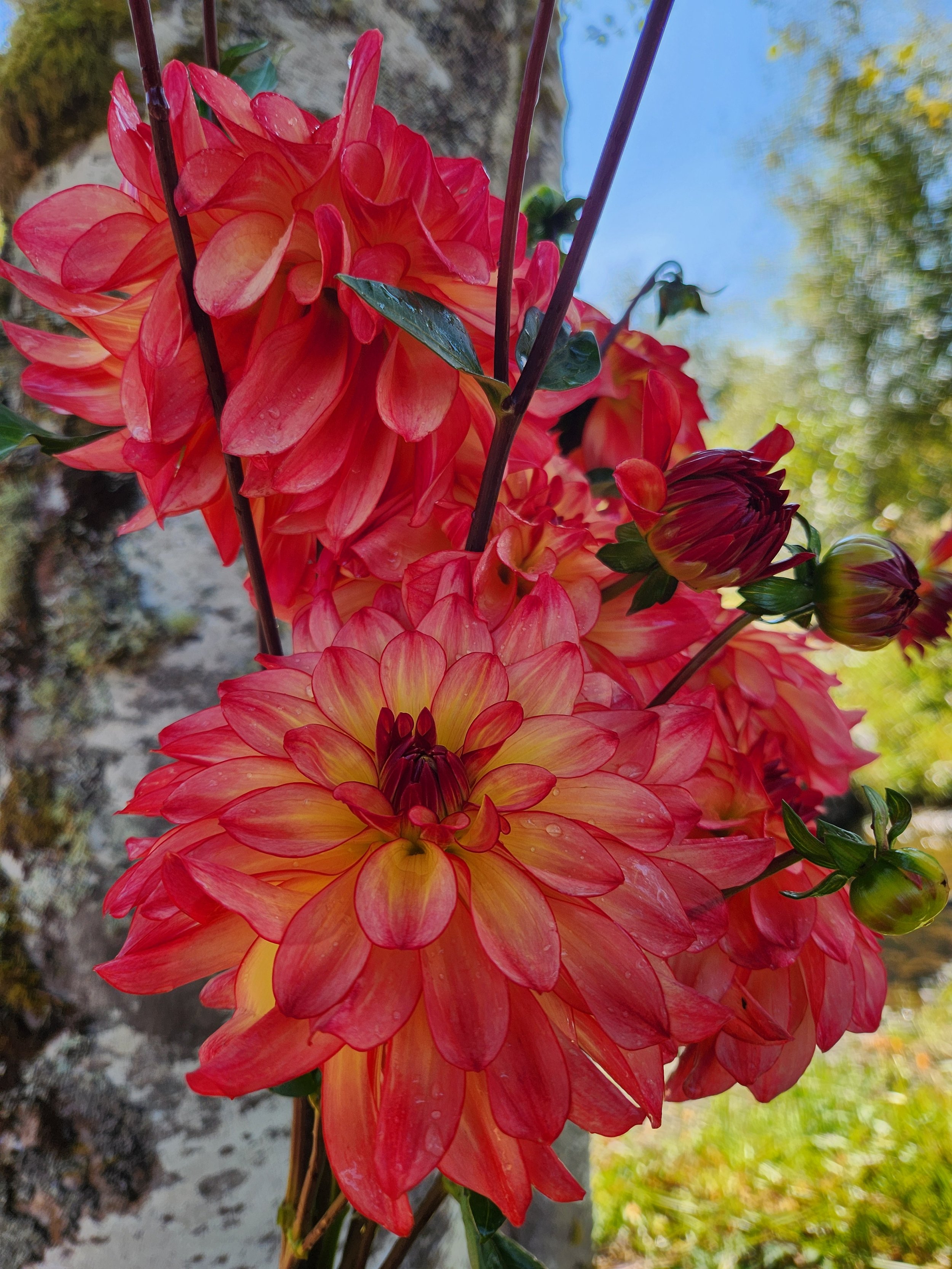 20260907_023155[1].jpg