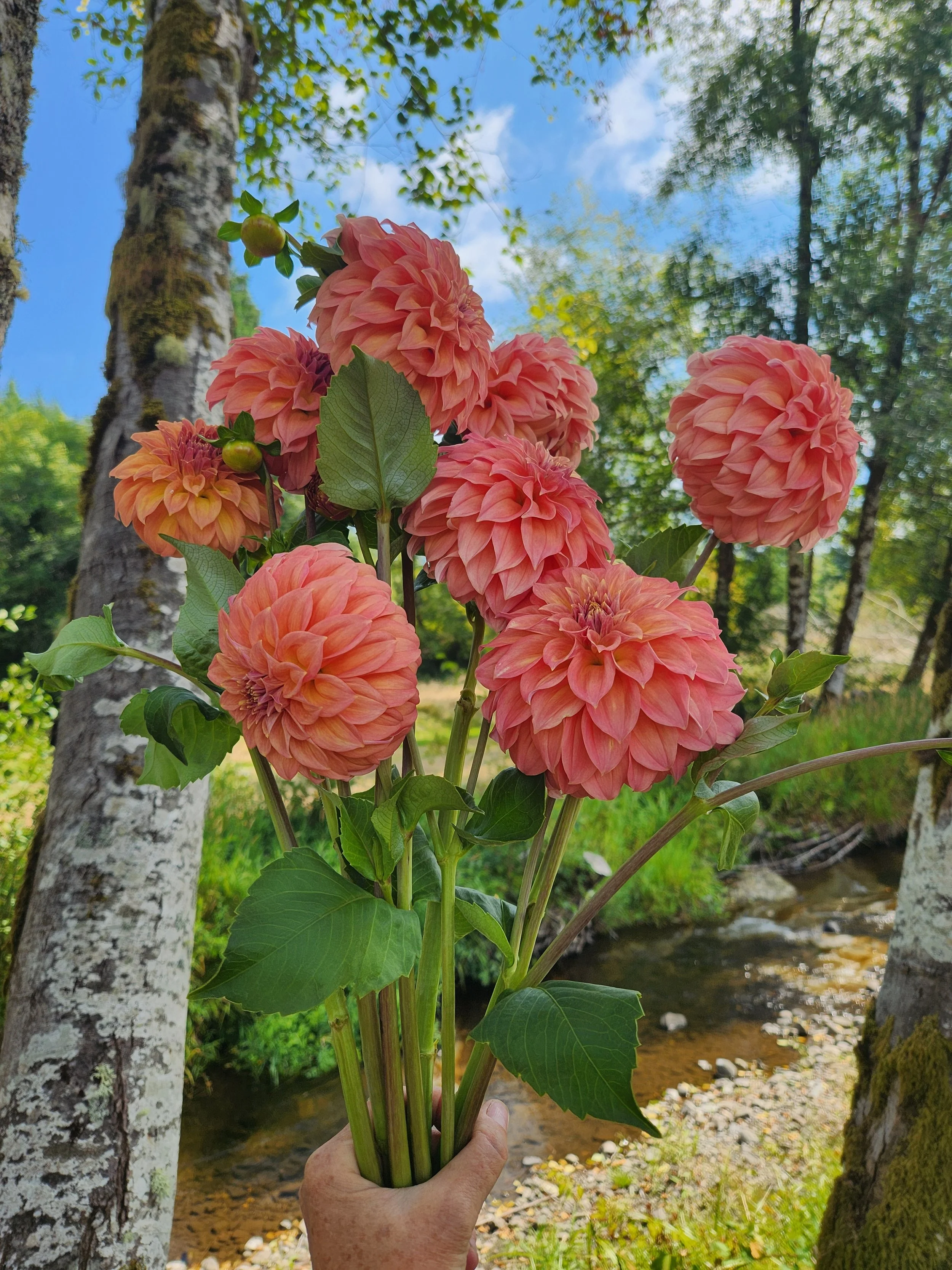20260817_052708[1].jpg