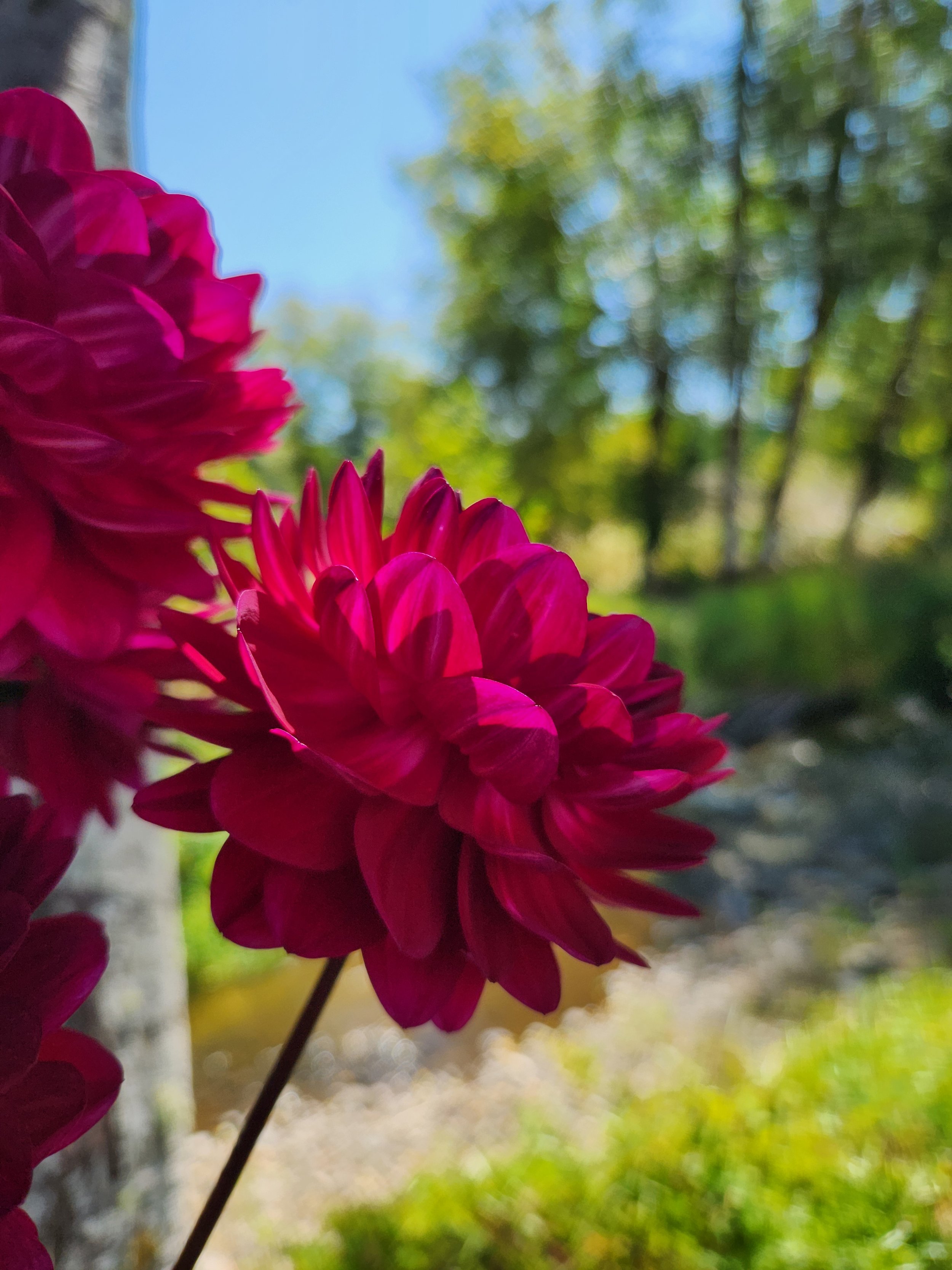 20260810_041001[1].jpg
