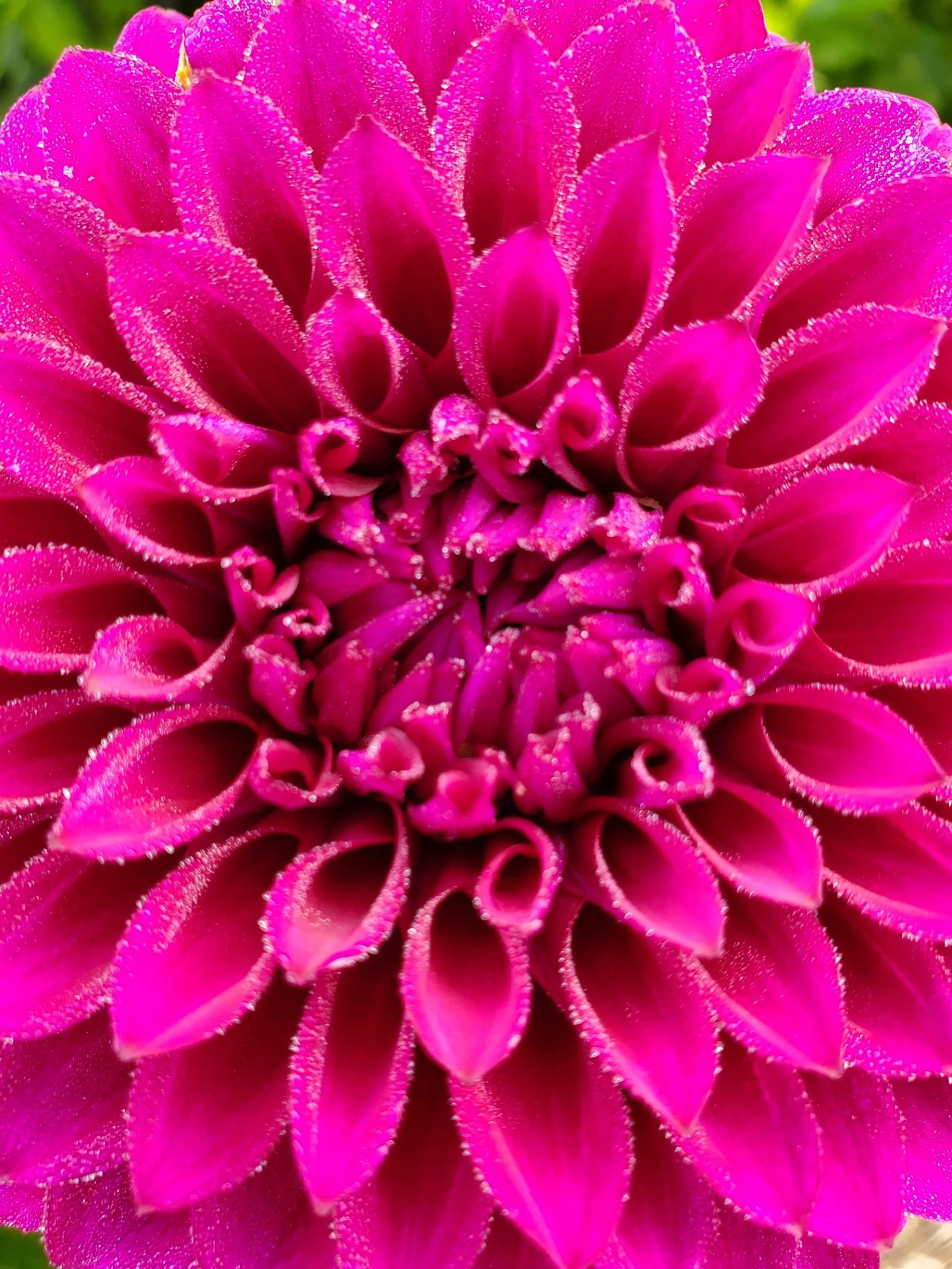 20250731_085930.jpg