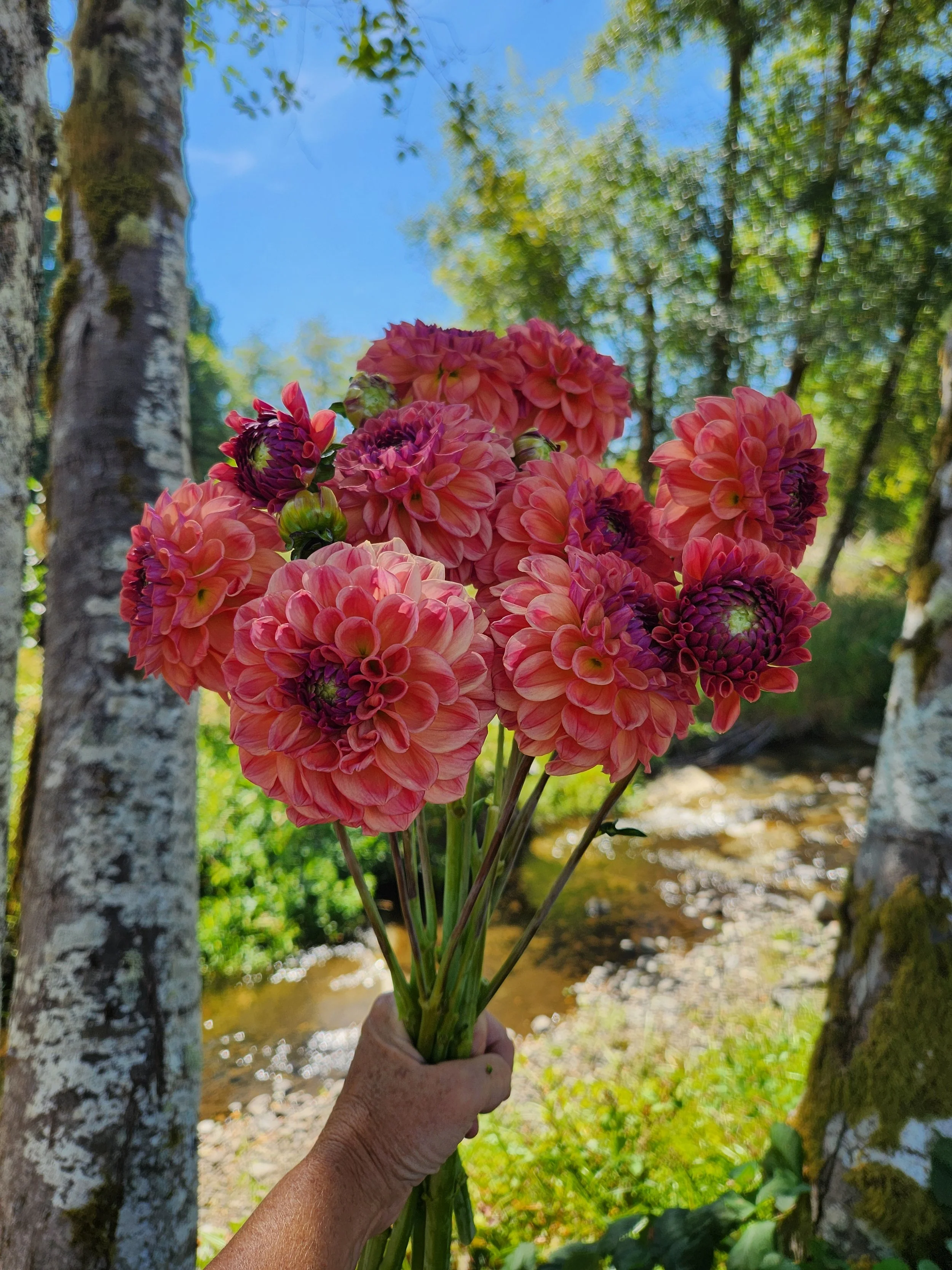 20260810_024517[1].jpg