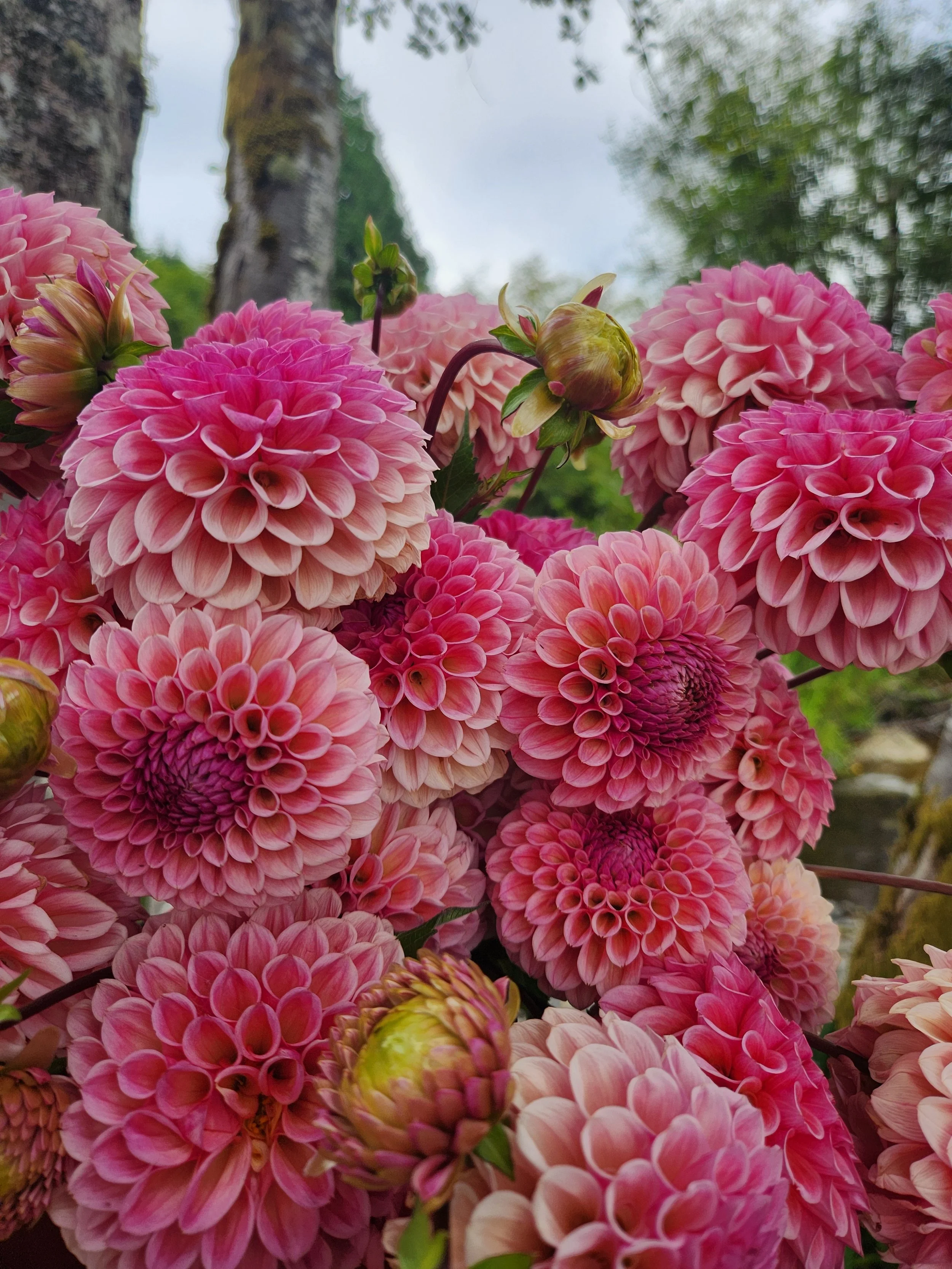 20260816_081916[1].jpg