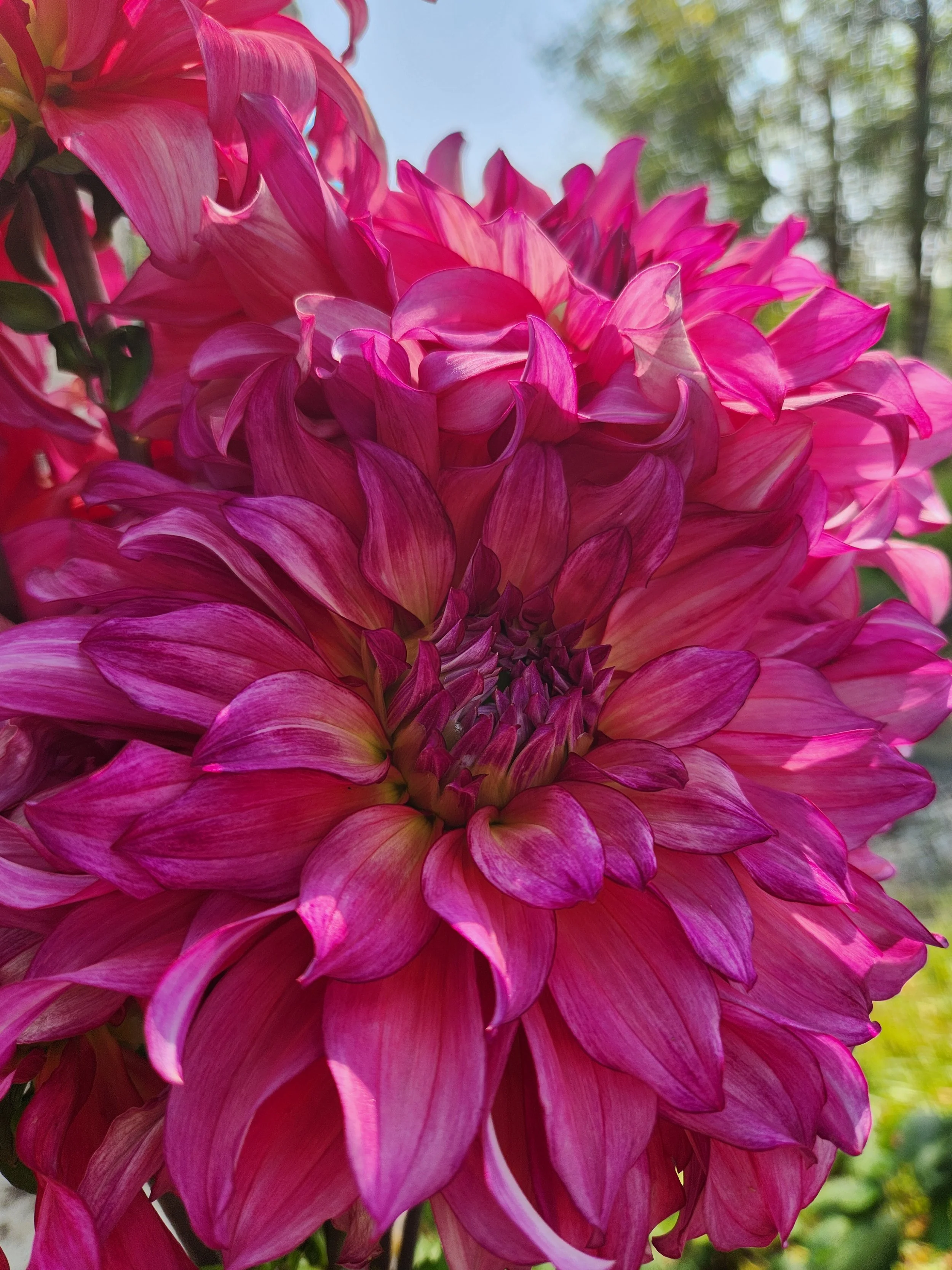 20260814_042817[1].jpg