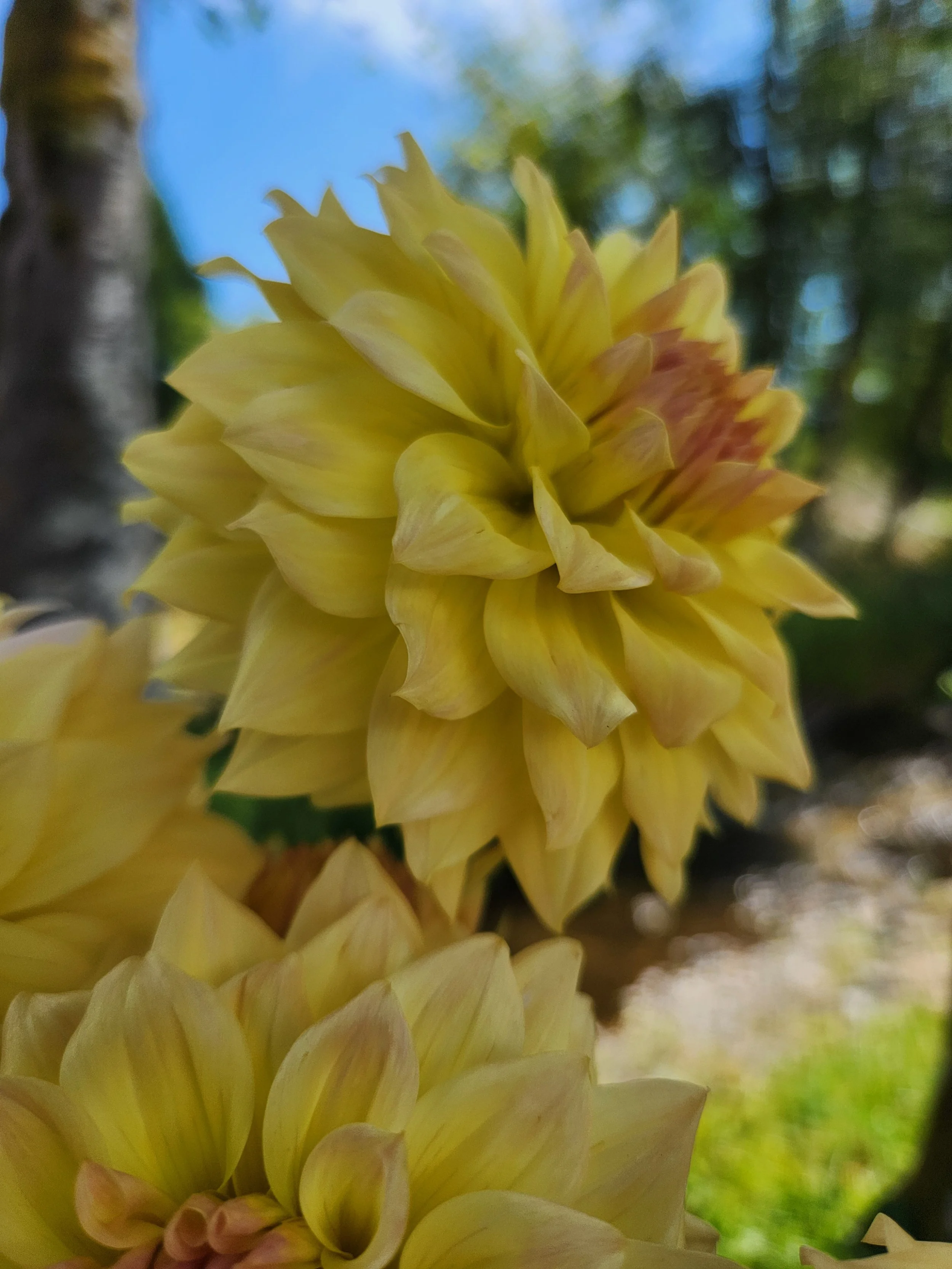20260810_052640[1].jpg