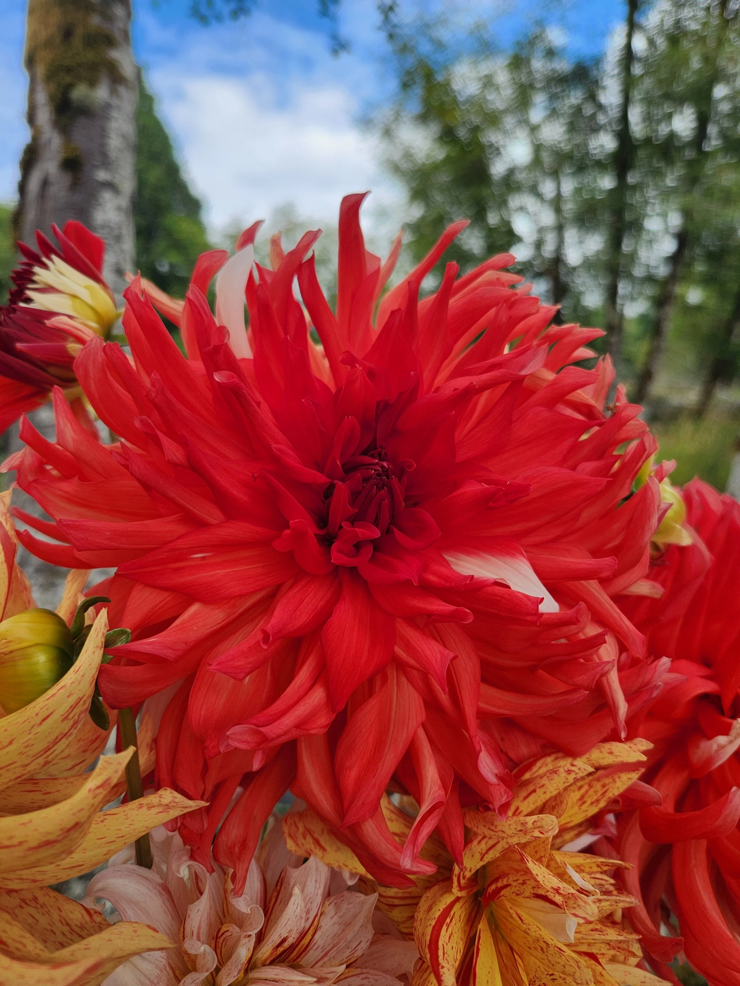 20260824_070236[1].jpg