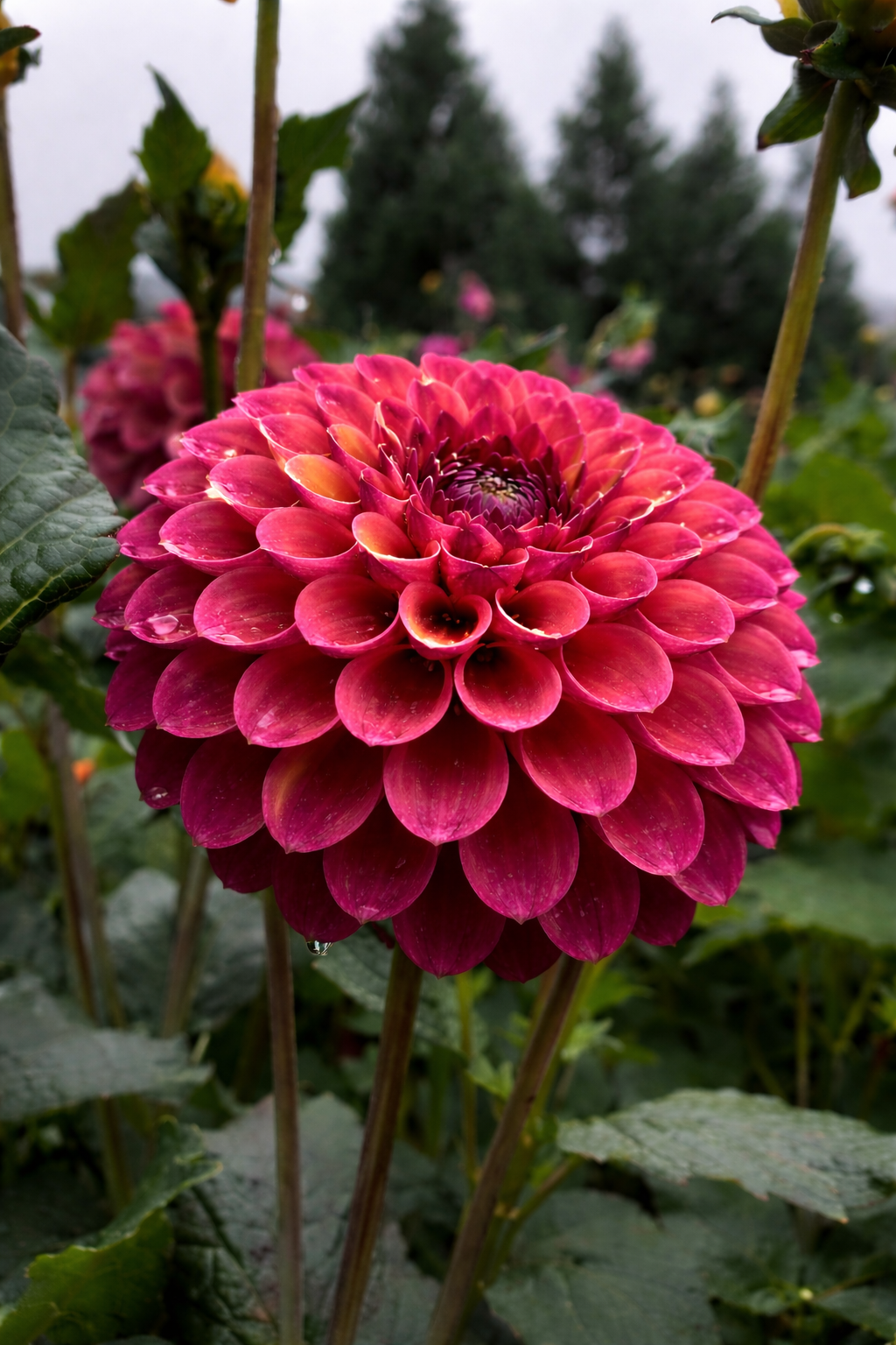 ChatGPT Image Jan 10, 2026, 07_07_00 PM.png