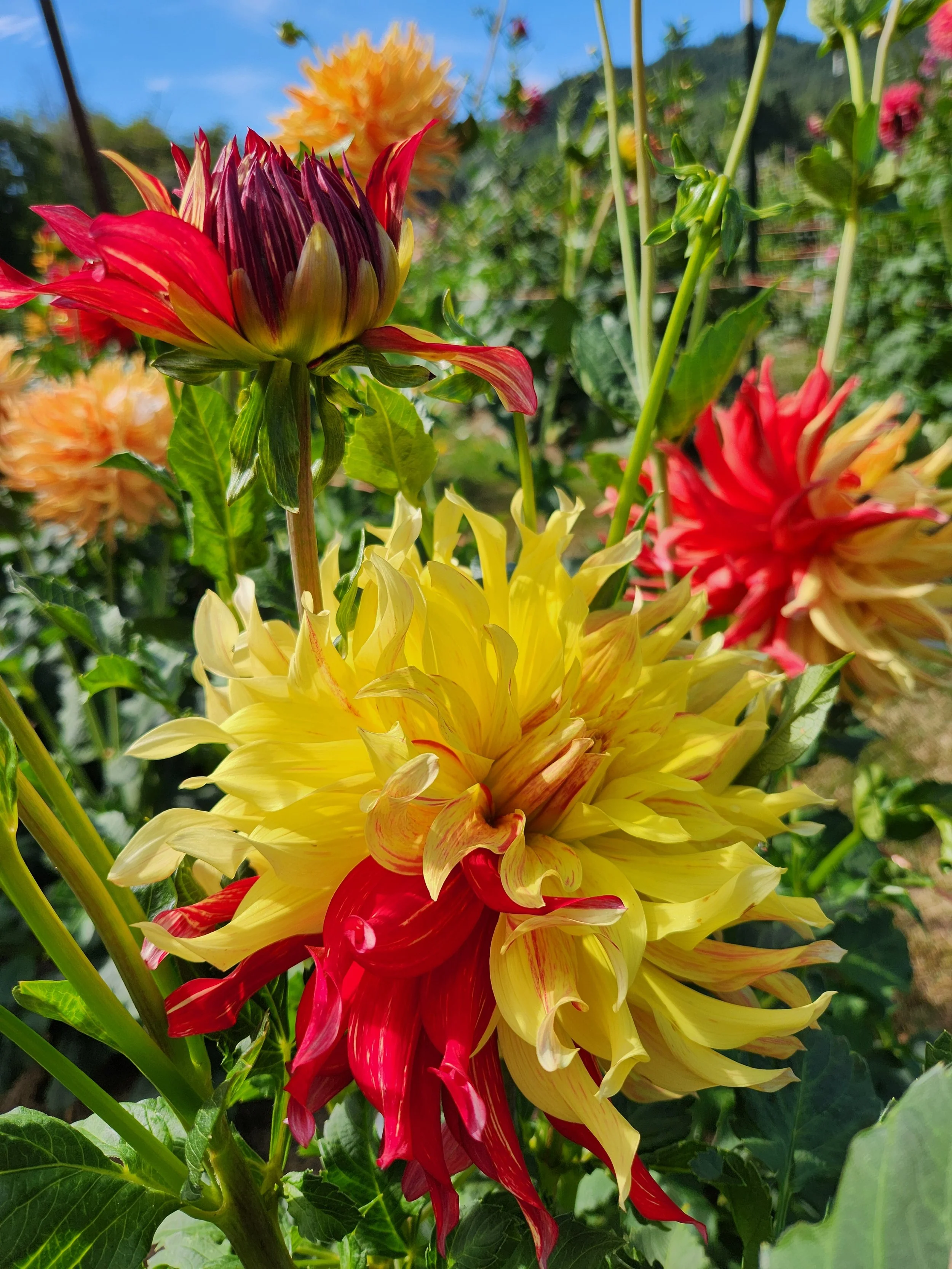 20260809_015345.jpg