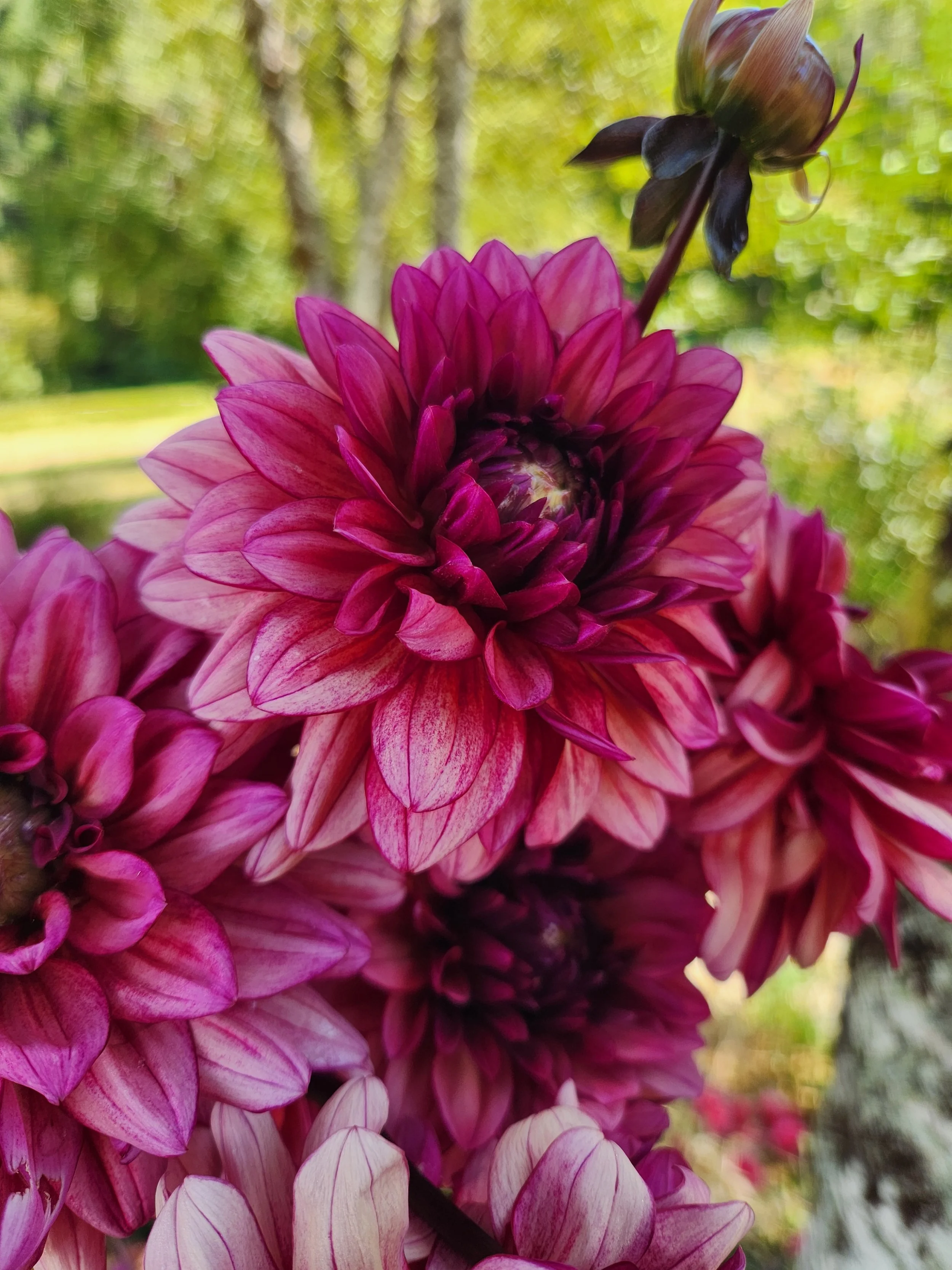 20260810_040302[1].jpg