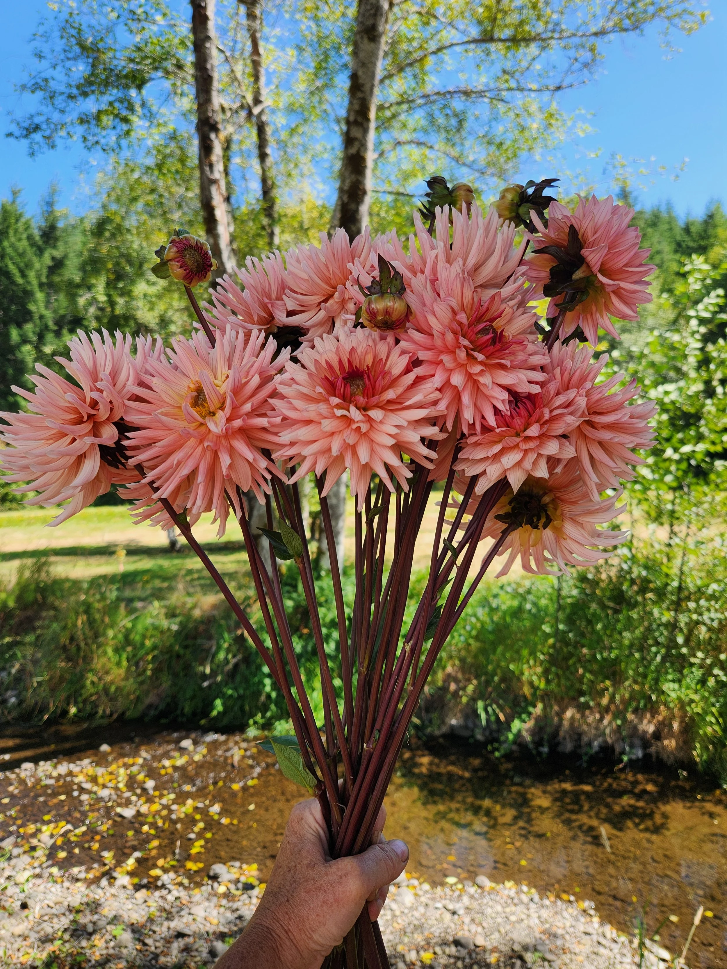 20260810_043022[1].jpg