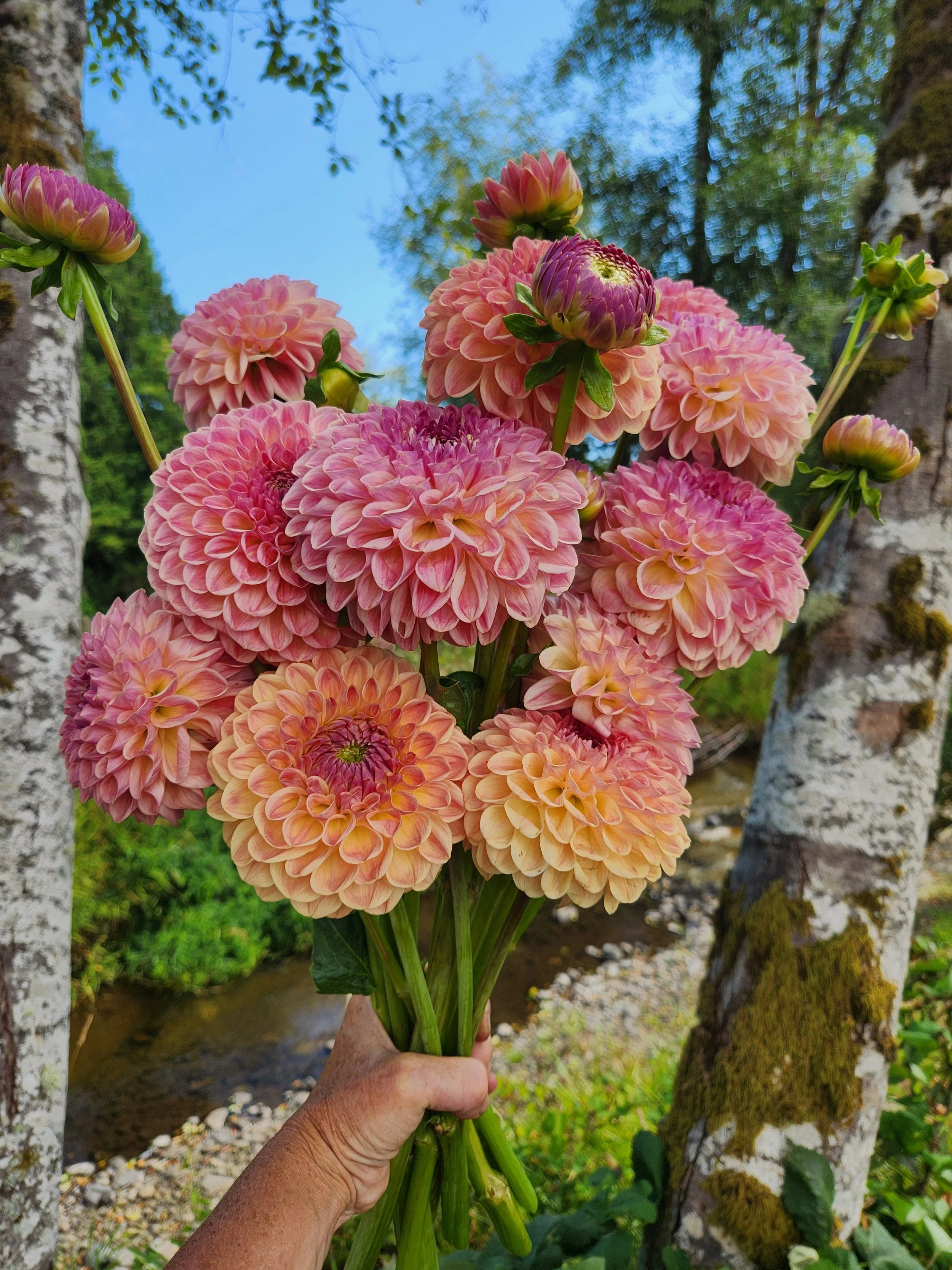 20260810_054846[1].jpg