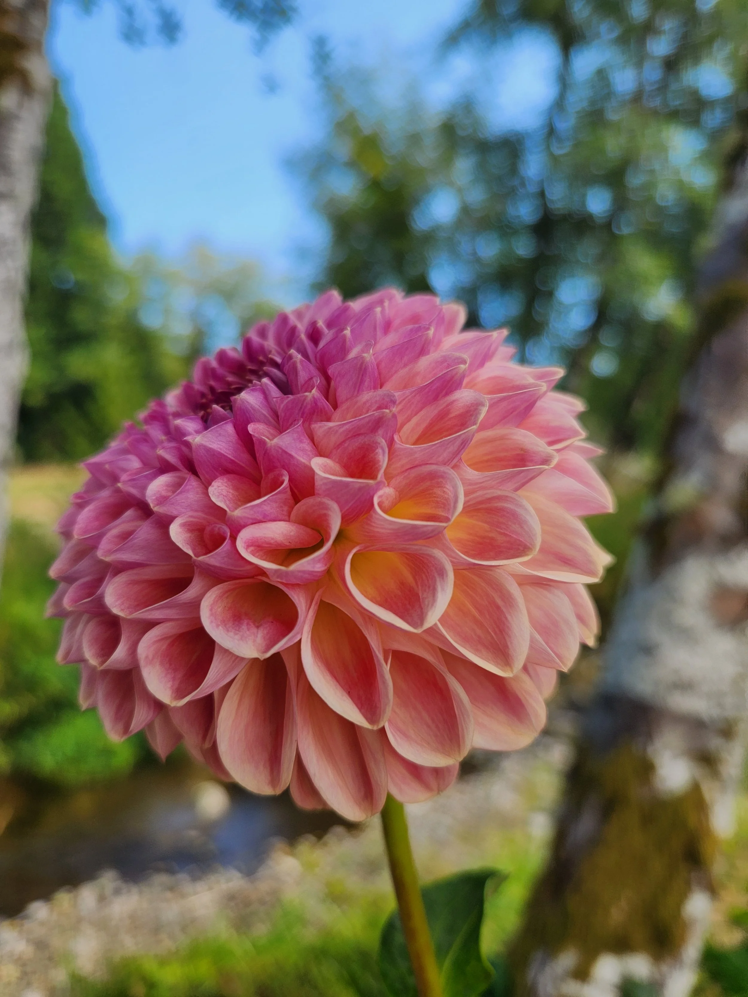 20260810_054832[1].jpg