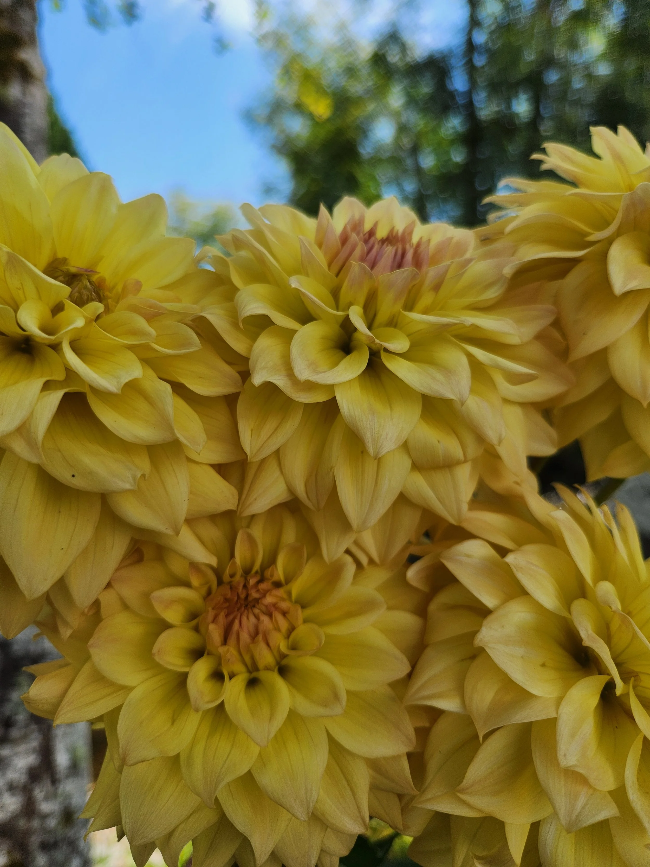 20260810_052621[1].jpg