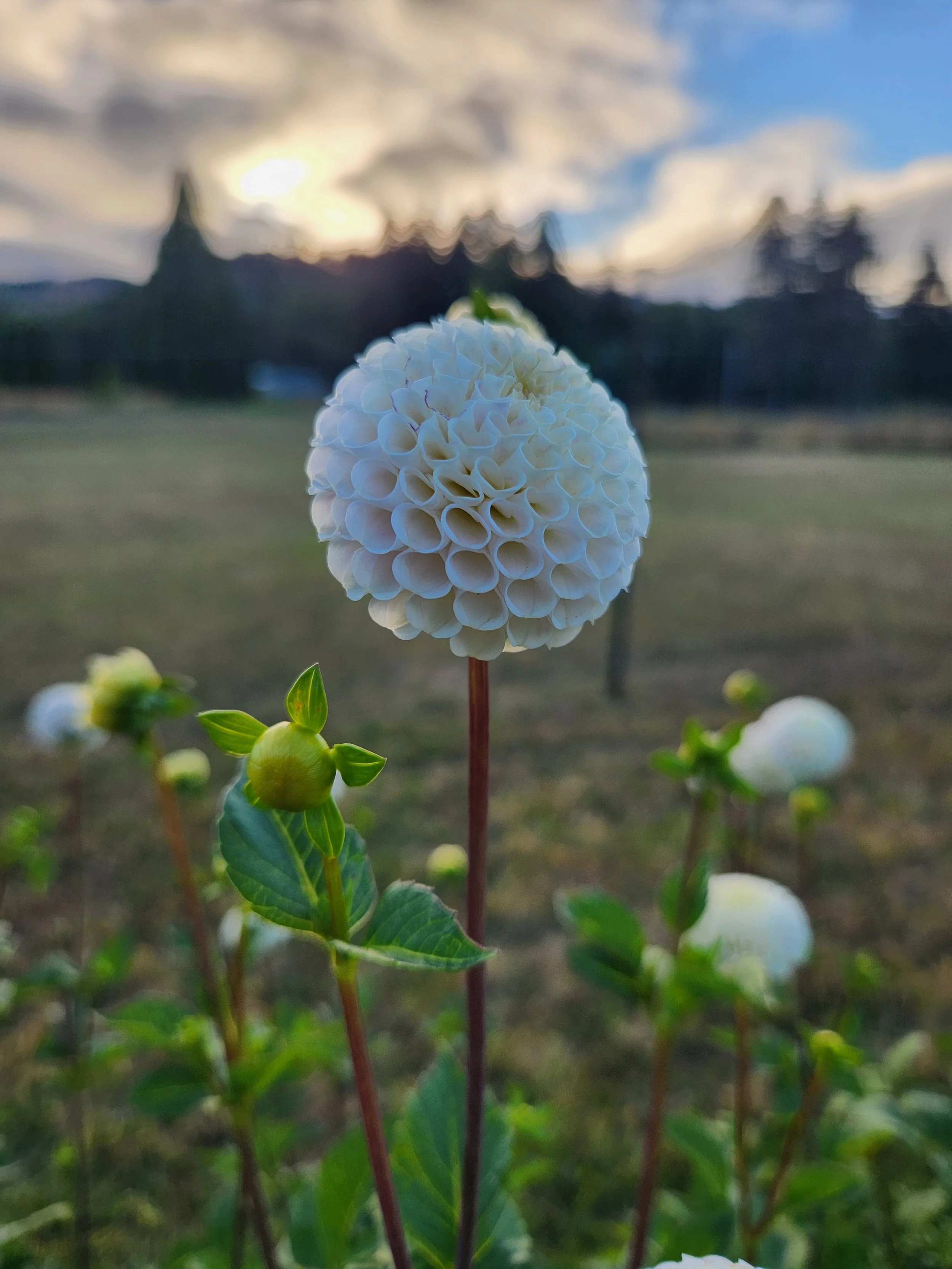 Small World