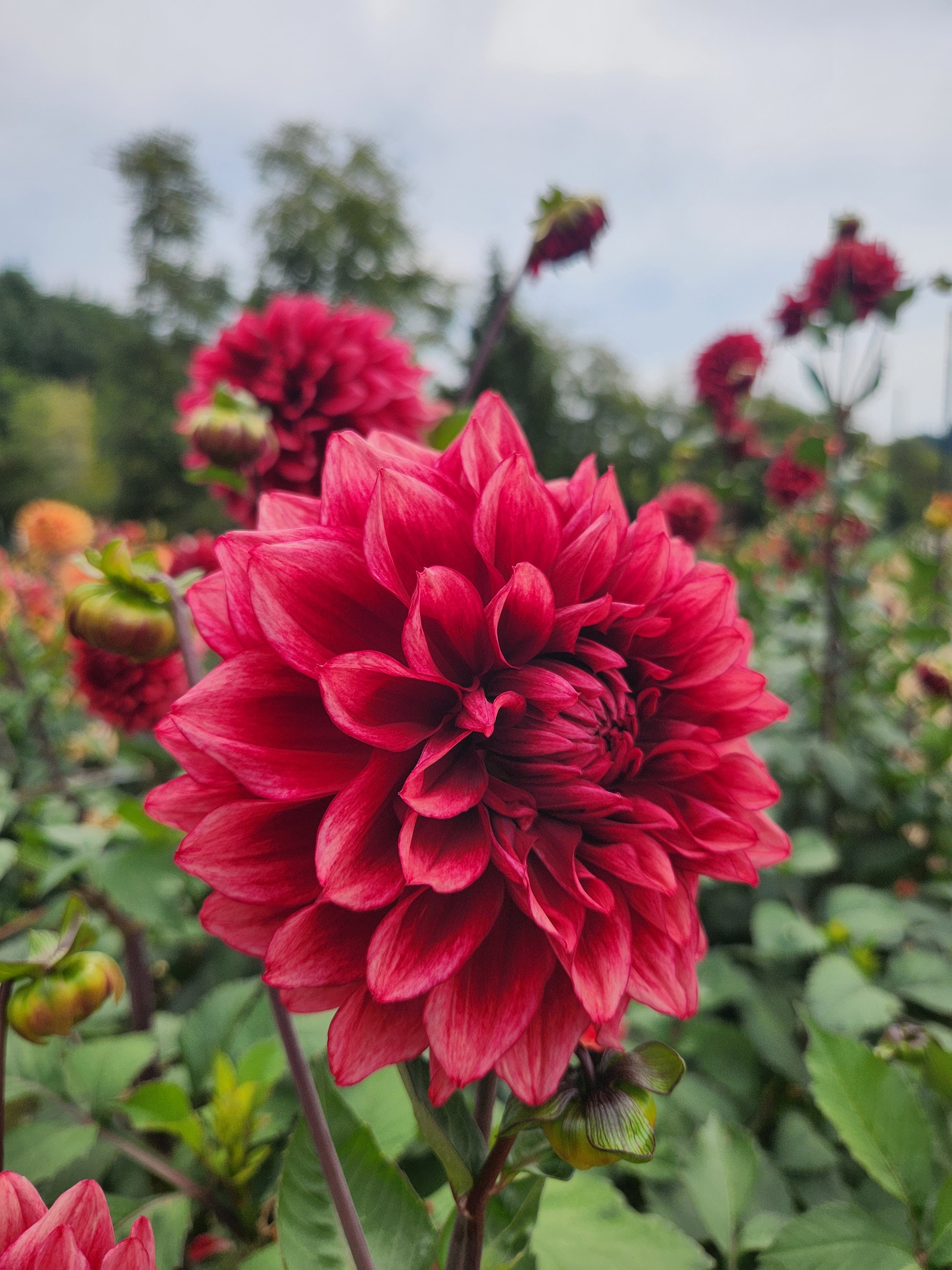 20260822_034002[1].jpg