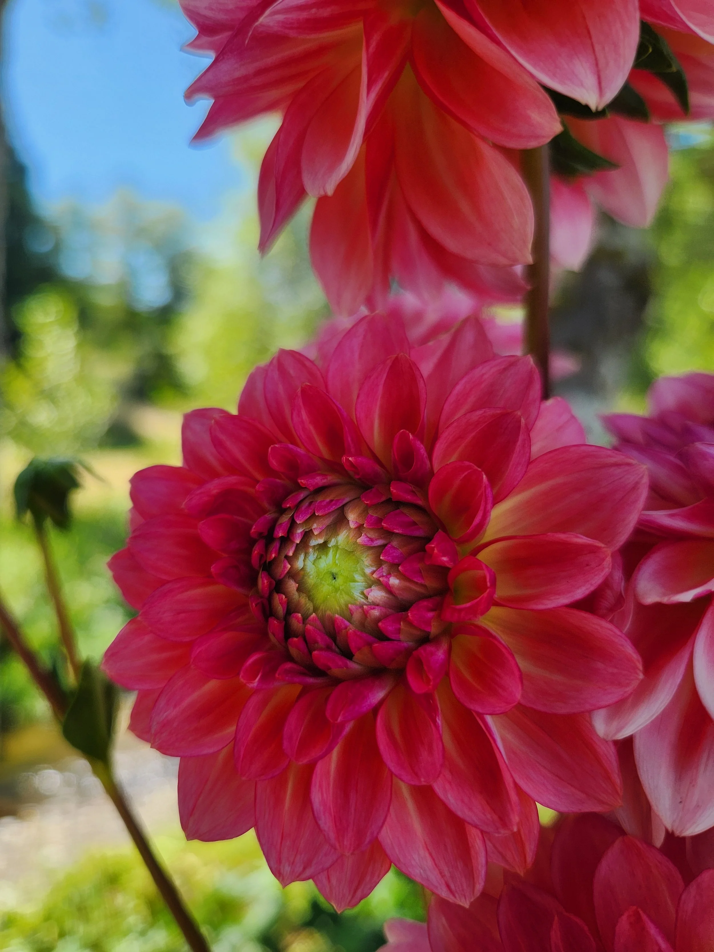 20260810_020601[1].jpg